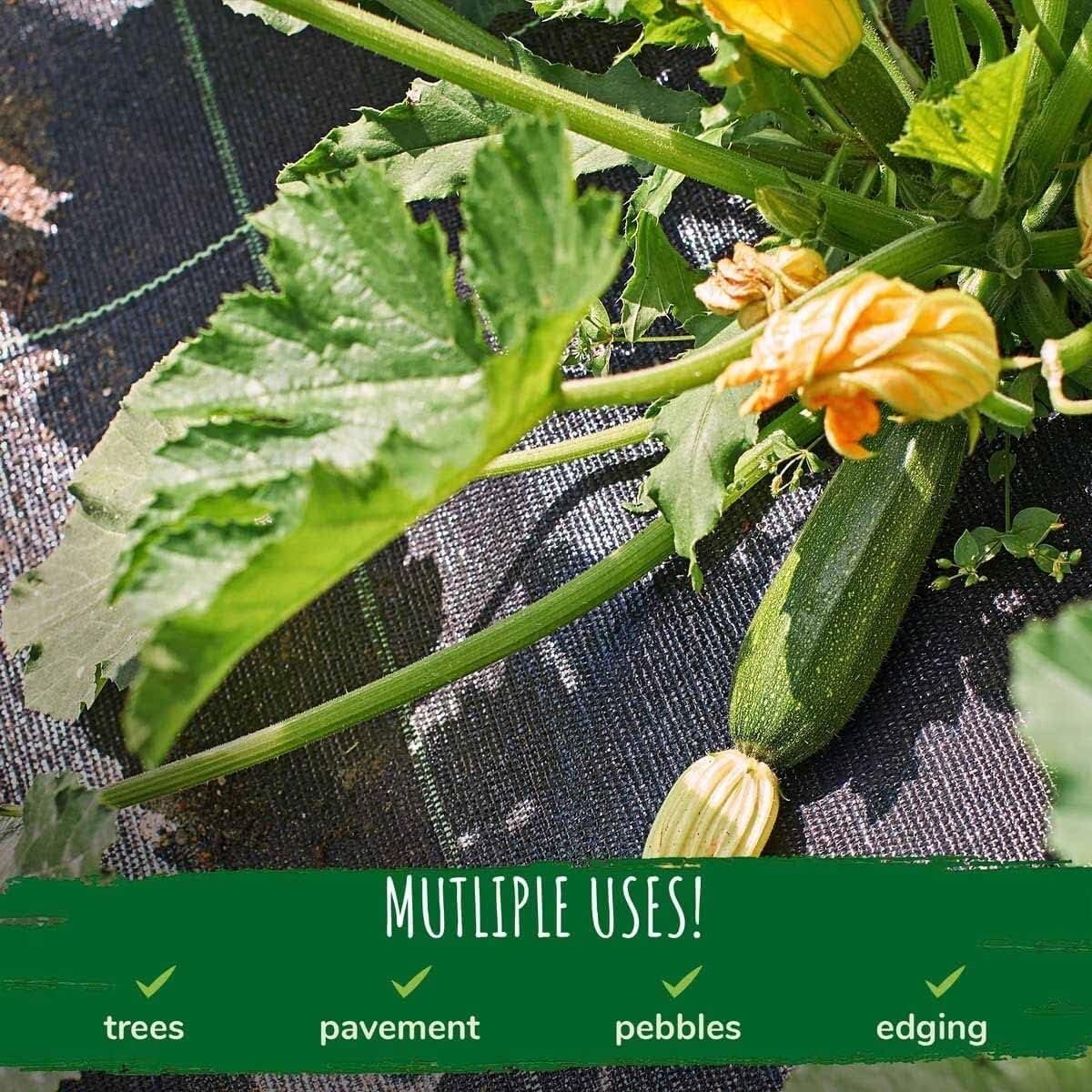EPANO LXXW Malla Antihierbas Geotextil de la Tela del Paisaje de la Cubierta del Suelo del Control de Malas Hierbas del jardín for Cultivar un huerto, cultivando, Agricultura(1.52x15m/5x50ft)
