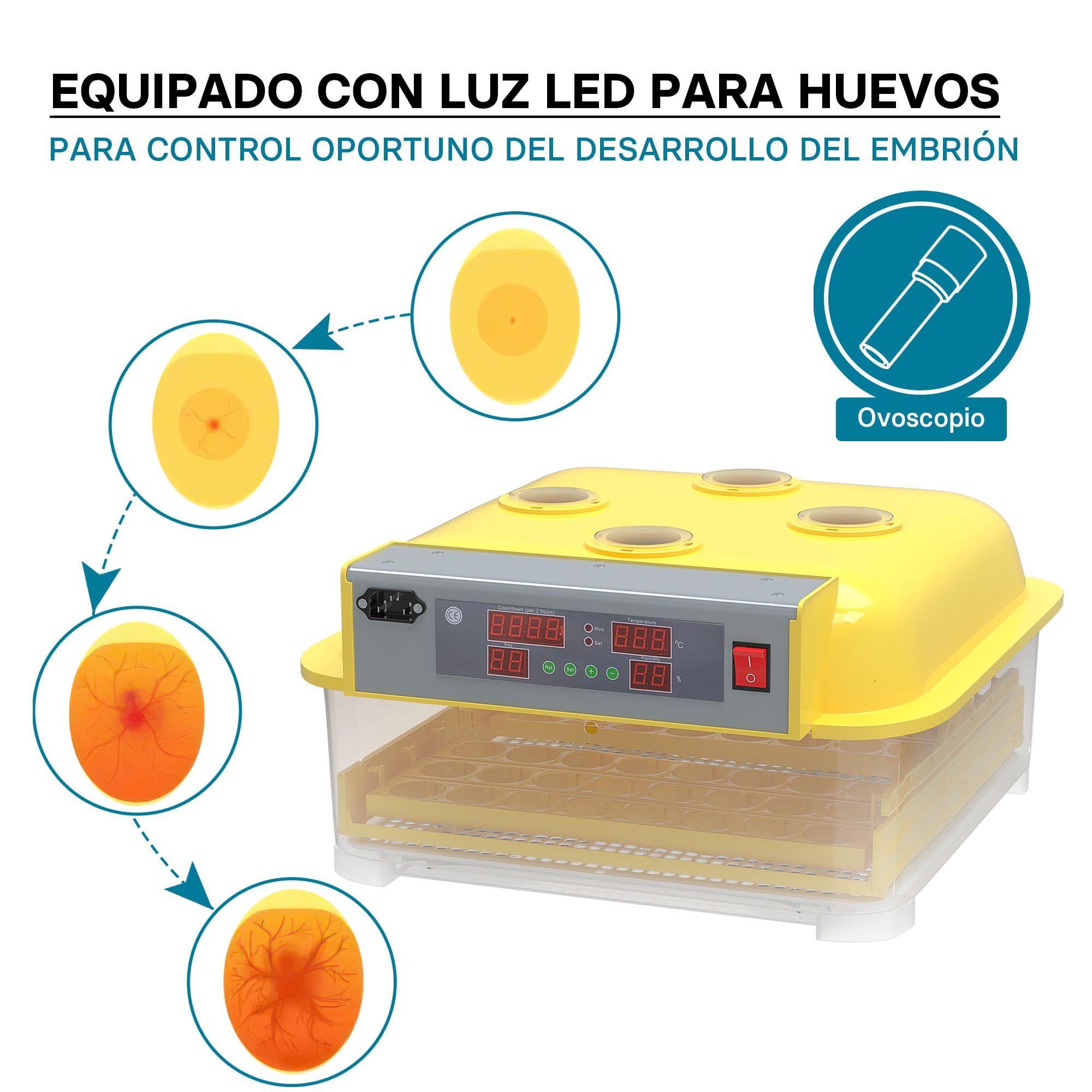 Incubadora automática capacidad para 48 huevos de gallina y 4 ventanas observación, pato, codorniz