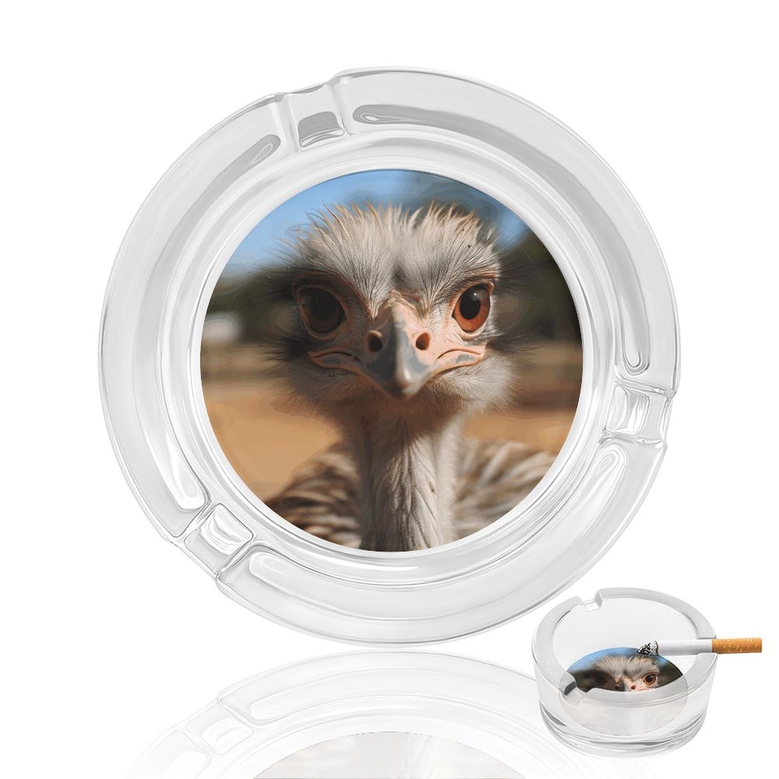 Cute Ostrich Ashtray Cigar Cigarette Rest Glass Outdoor Cigar Ashtrays with 3 Grooves Travel Cigar Ashtrays Fancy Cute Cool Ash Tray for Smokers Tabletop