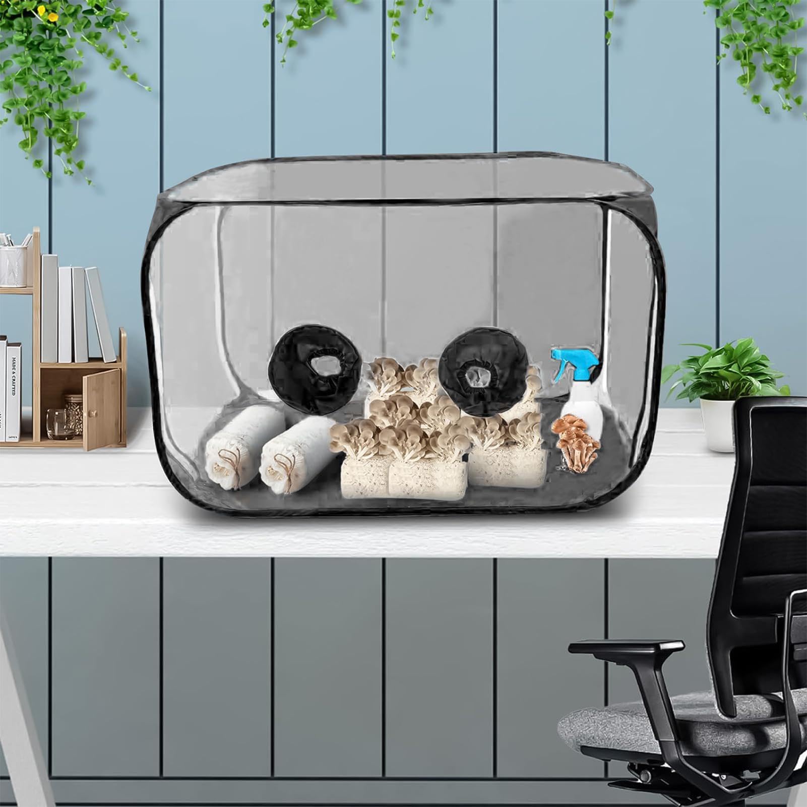 Still Air Box, Ensemble de Culture de Champignons, Tente De Culture De Champignons Portable Et Pliable, Conteneur de Culture Champignons Portable pour Spores Fournitures D'horticulture Noir