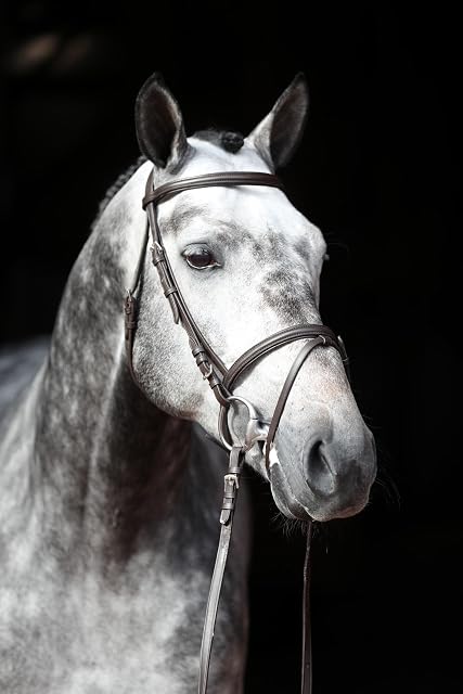 Foto 6 de 7 de Covalliero Brida Standard, Brida de Montar, marrón, Cuero, Metal, shetty, Caballo, Ajustable