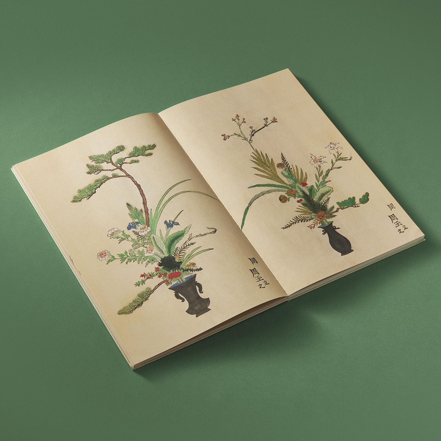 Ikebana /anglais: The Art and Beauty of Flower Arranging