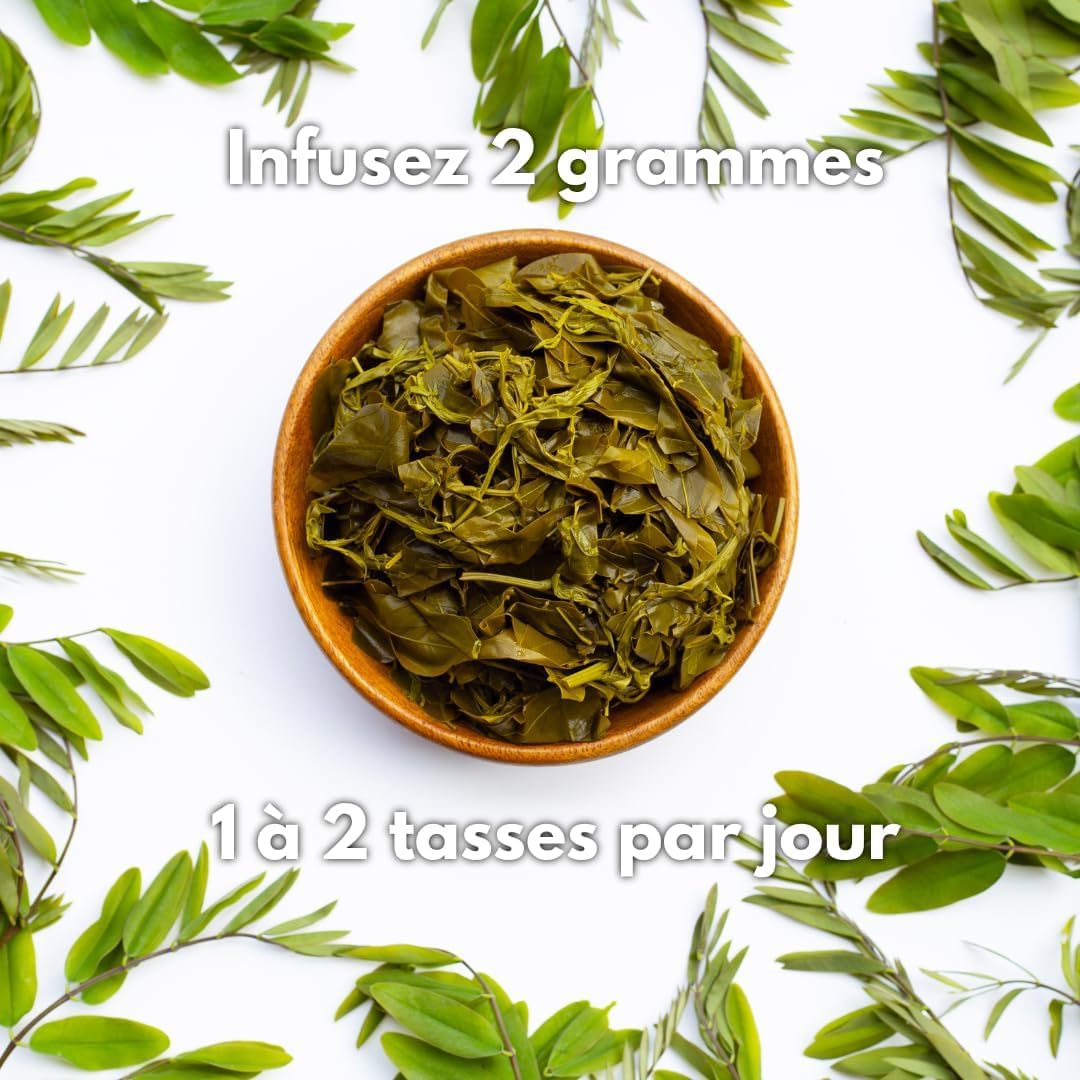 Feuilles de Séné Coupée, Origine Inde - Puissant Purgatif, Laxatif Naturel - Favorise le Transit Intestinal et le Nettoyage du Colon - Tisane Détox | Conditionnée en France, RUE DES PLANTES (1kg)