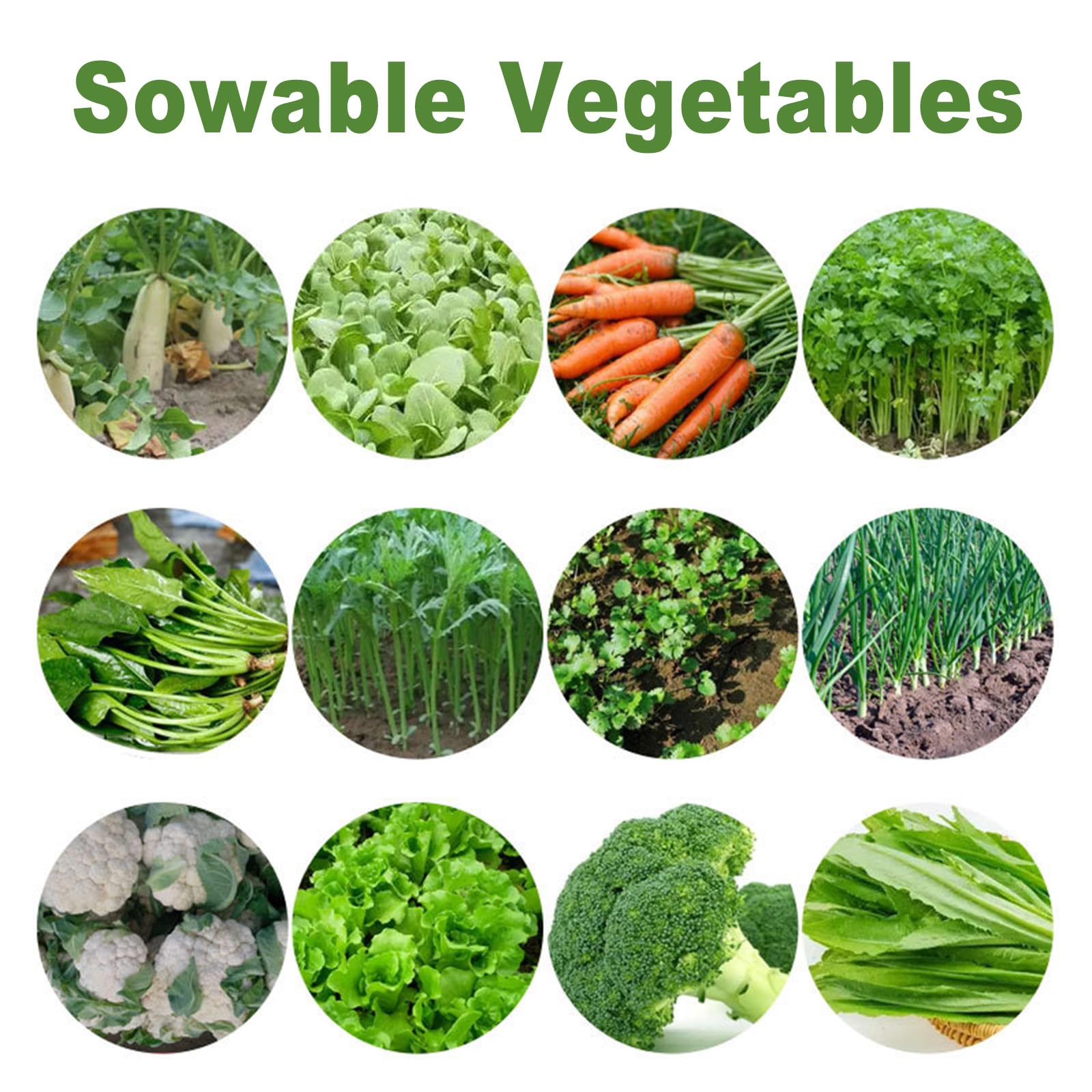 Sembradora Manual Multifuncional Espaciado Ajustable Sembradora Manual De Precisión Dispensador De Semillas De Jardín Sembradora De Empuje para Soja Maíz Algodón Y Soja