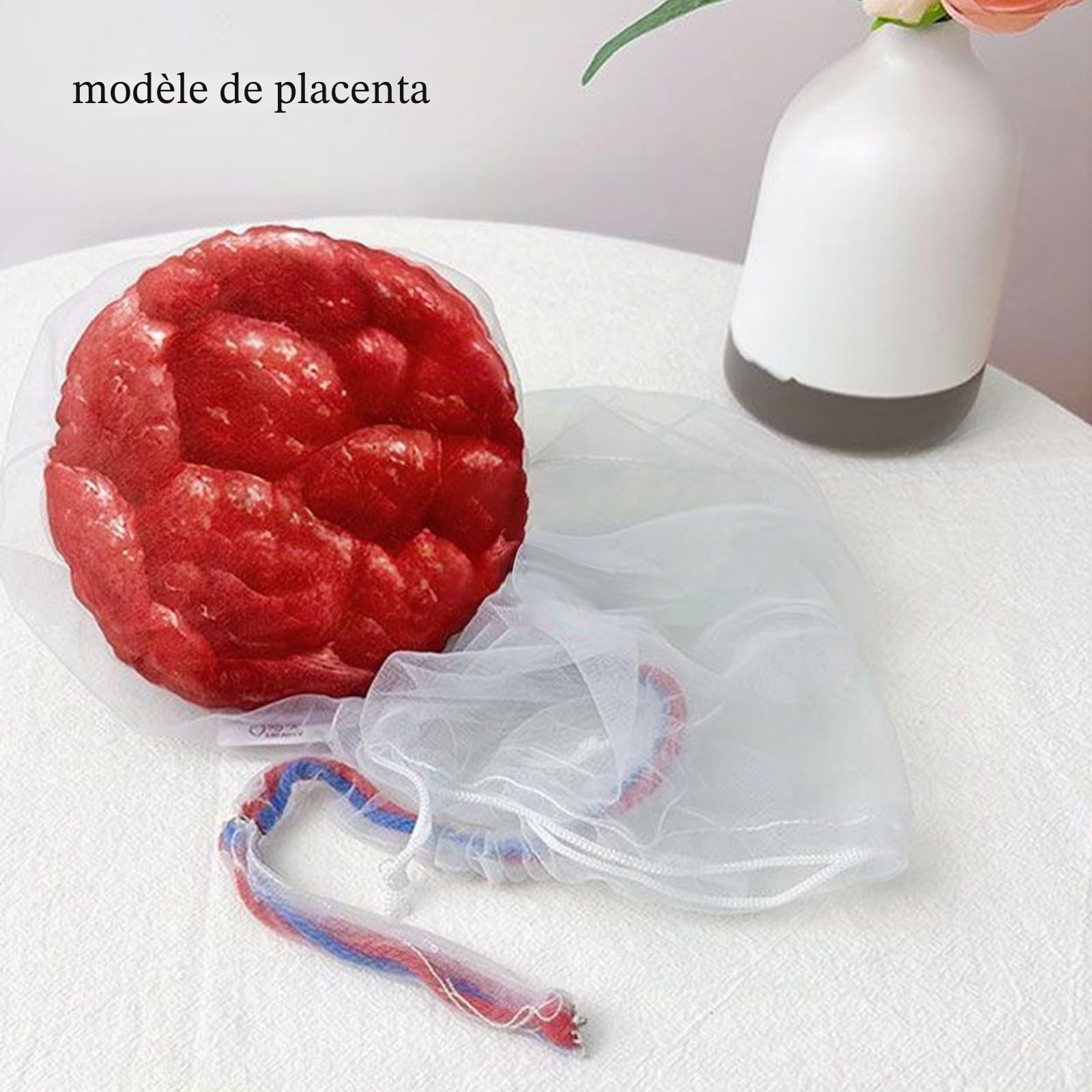 Modèle d'accouchement du bassin féminin, modèle pelvien de démonstration d'accouchement, simulateur d'accouchement du cordon ombilical/placenta pour étude, affichage, enseignement médical(A)