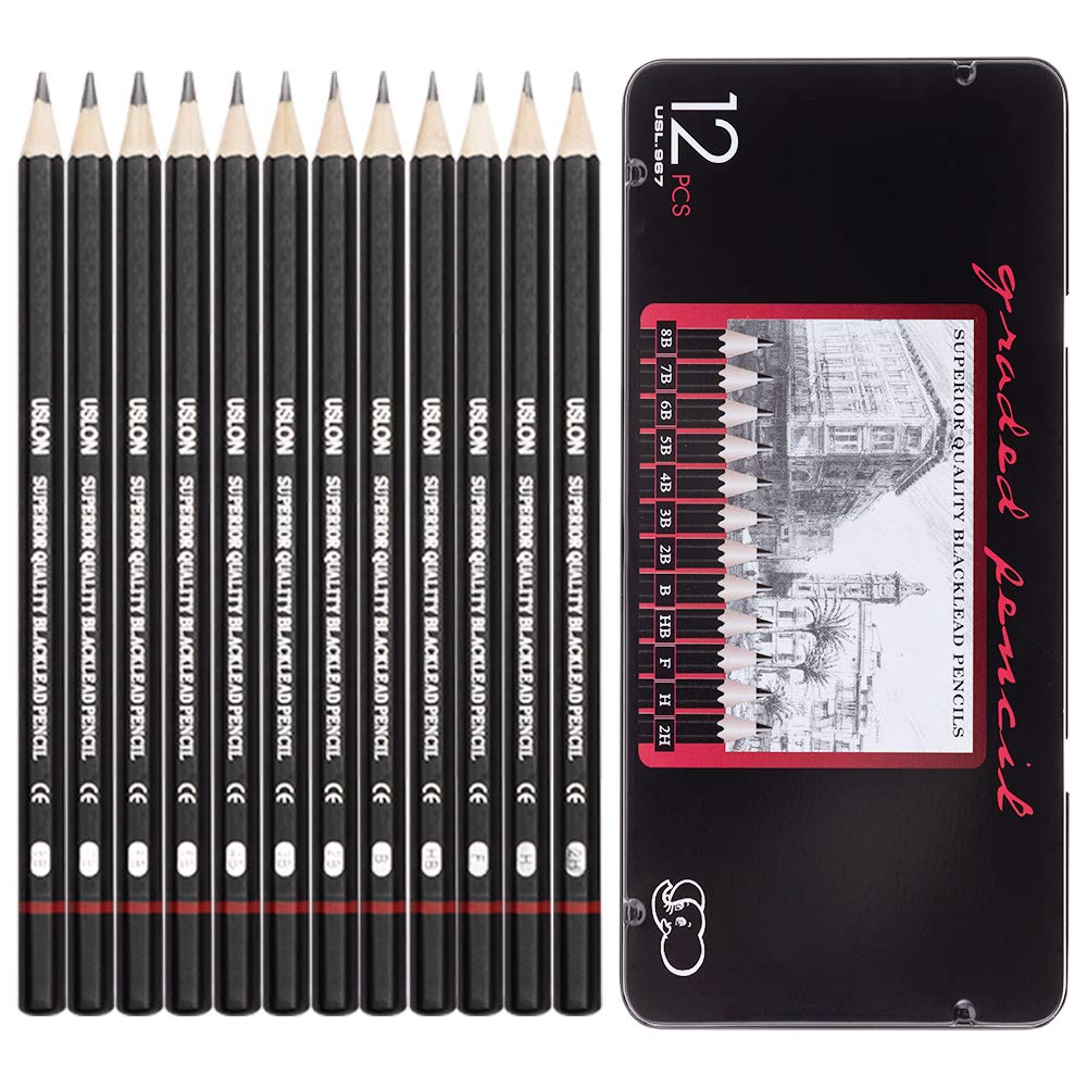 BRIOUT Professional Drawing Sketching Pencil Set - 12 Pieces Drawing Art Pencils (8B - 2H) Graphite Shading Pencils for Beginners & Pro Artists