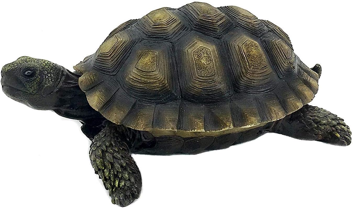 Bellaa Turtle Garden Sculptures Statues Home Decor Tortoise Realistic Cute Large Animal Gilbert Zen Garden Patio Lawn Yard Art Tanya Talia Galapagos Todd Outdoor Figurines 9 inch