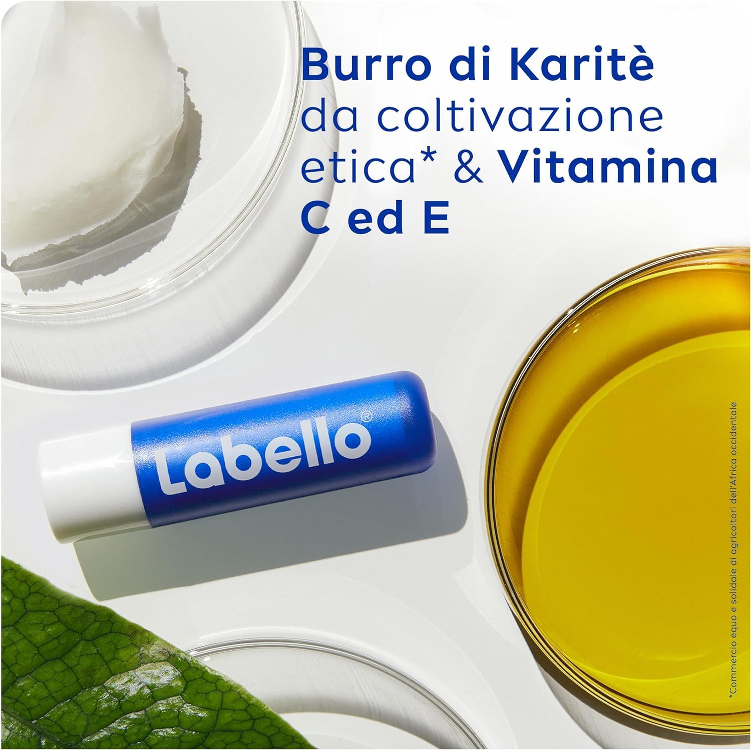 Labello Classic Care Balsamo Labbra 4.8 g, Burrocacao labbra classico fondente sulle labbra, Lip balm con burro di karité idratante fino a 24 ore, Senza oli minerali e paraffine