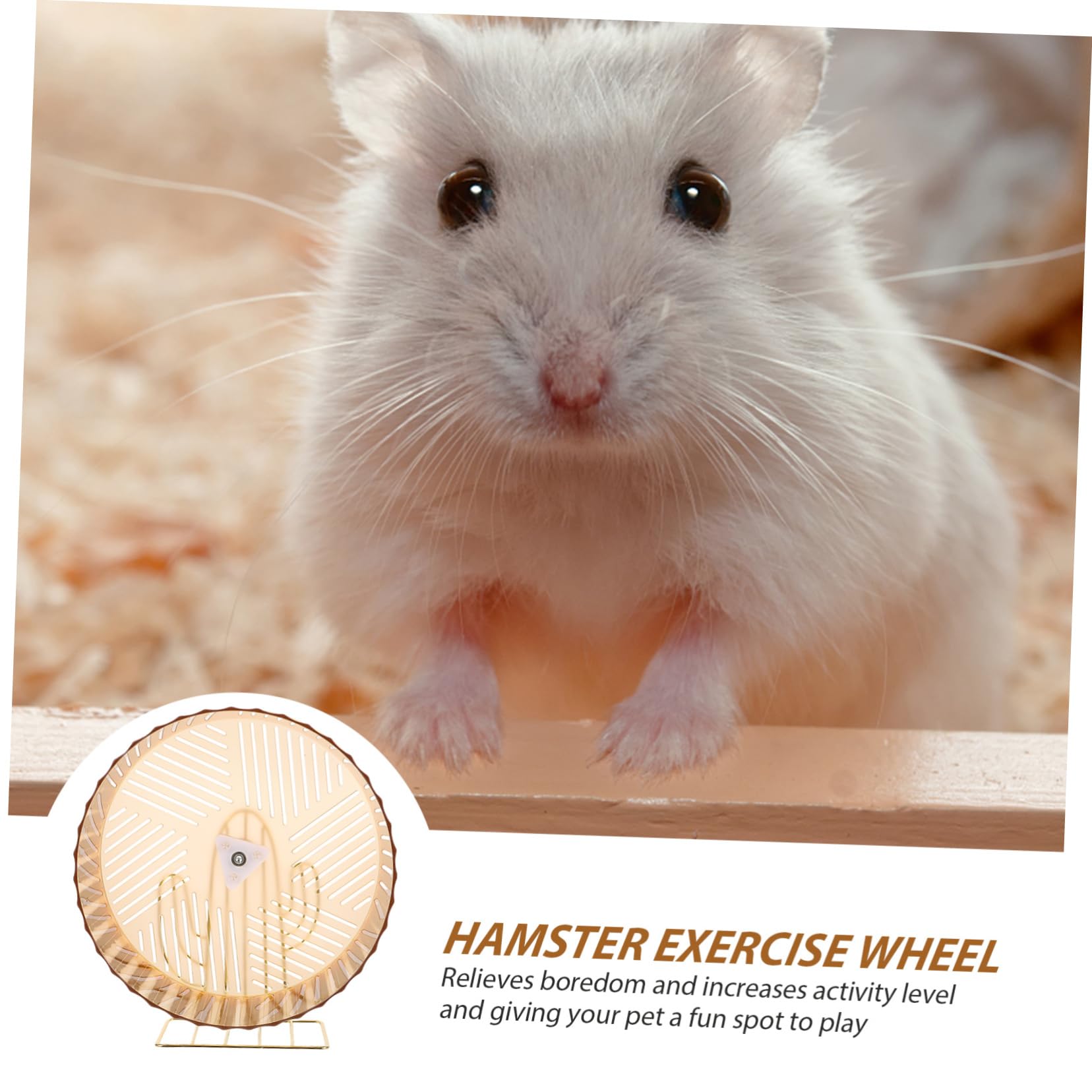 Beavorty Roue D’Exercice pour Hamster et Chinchilla, Base Stable en Plastique et Alliage, pour Cage, Favorise L’activité et Réduit L’Ennui