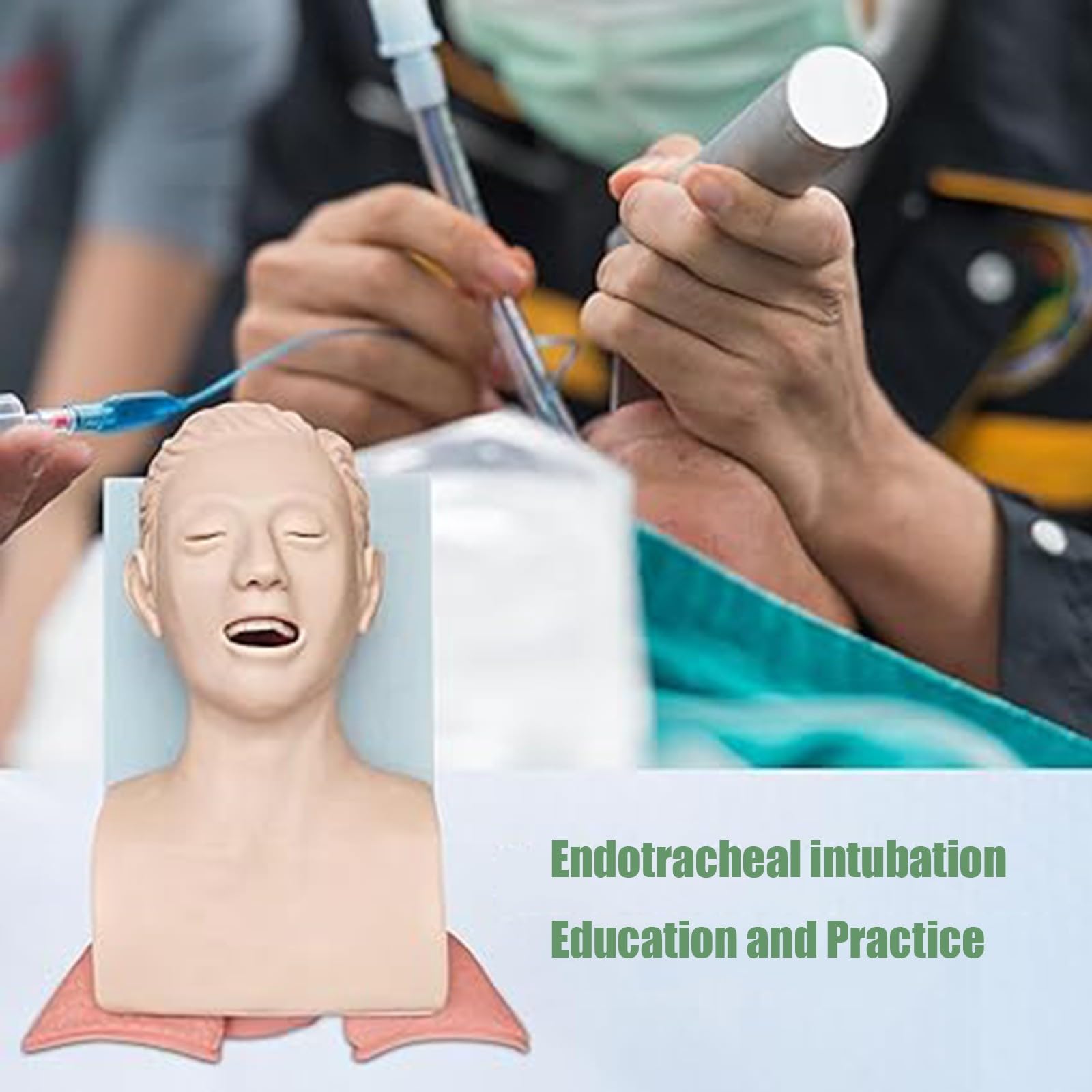 Mannequin d'intubation : Modèle pédagogique pour la formation des adultes à la gestion des voies respiratoires en situation d'urgence A