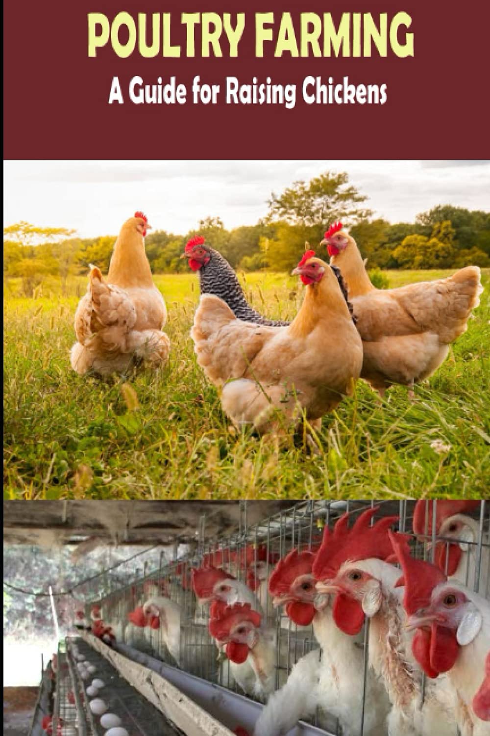The Complete Guide of Poultry Farming: Eggs Production, Raising Chickens
