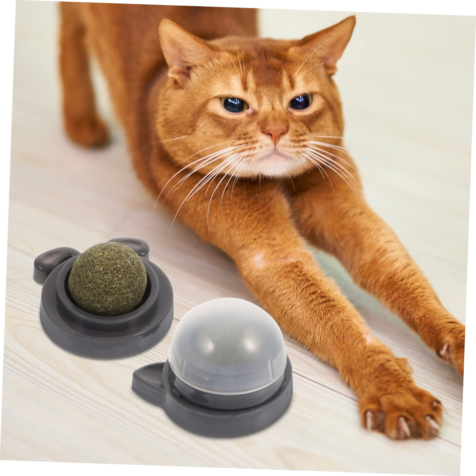 Supvox 12stücke Katzenminze Lick Ball Multifunktionales Spielzeug Zur Zahnpflege Für Katzen Rotierender Interaktiver Kauspielzeug Für Drinnen Gesundheit Und Spielspaß