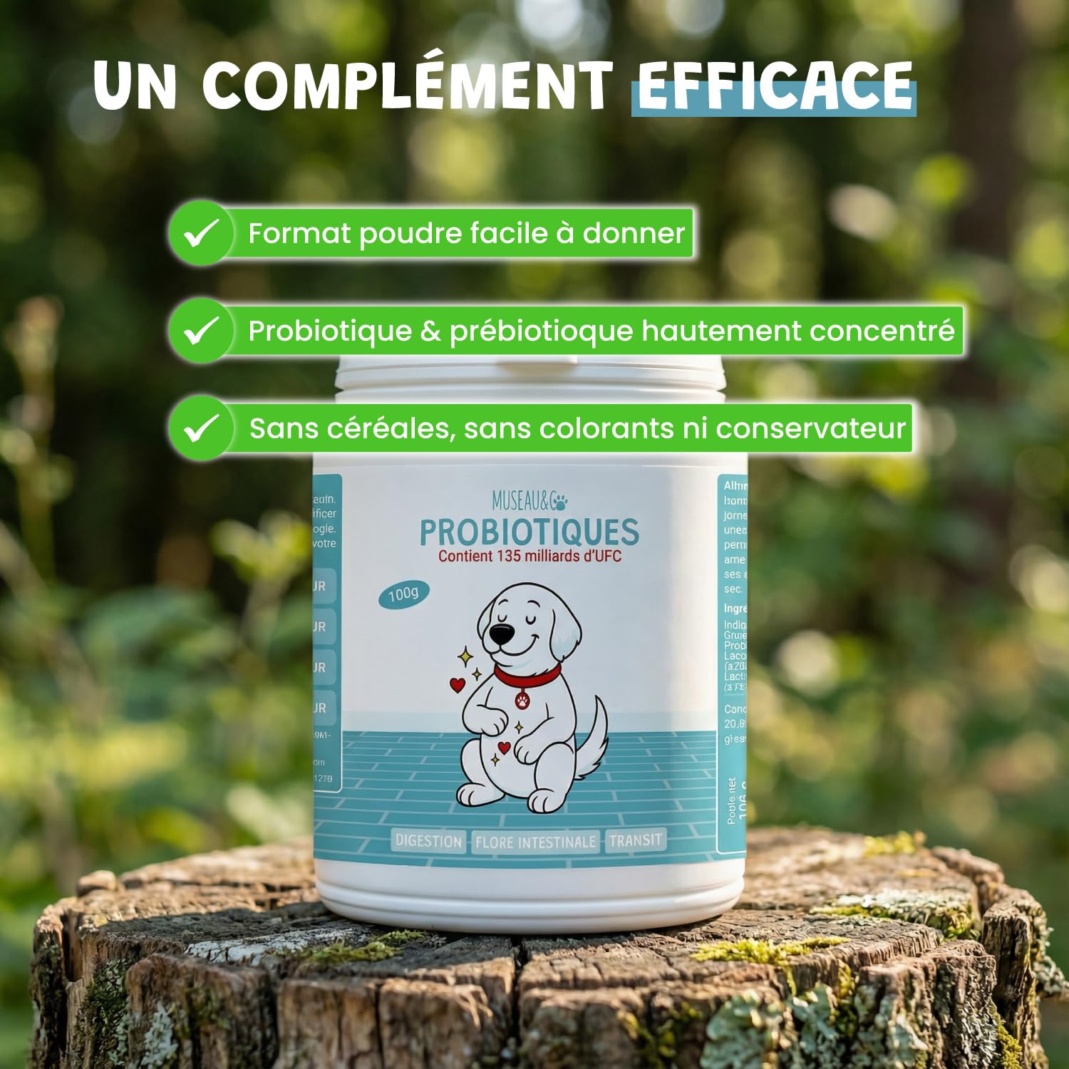 Probiotiques Chien Chat - 135 Milliards UFC - Flore Intestinale Digestion Transit - Lactobacillus Inuline Chicorée - Goût Poulet - 100g - Fabriqué en France - Museau & Co