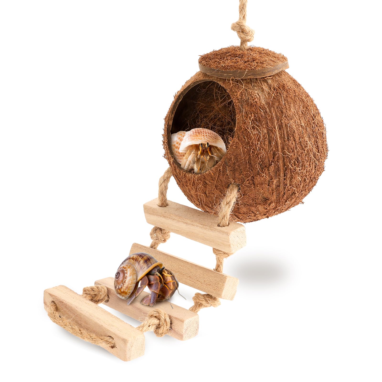 U0U Hermit Crab Coconut Husk Hut with Branch Ladder,Coconut House Hermit Crab Shells Reptile Habitat,Coconut Nest Hangable Suitable for Animal Hiding