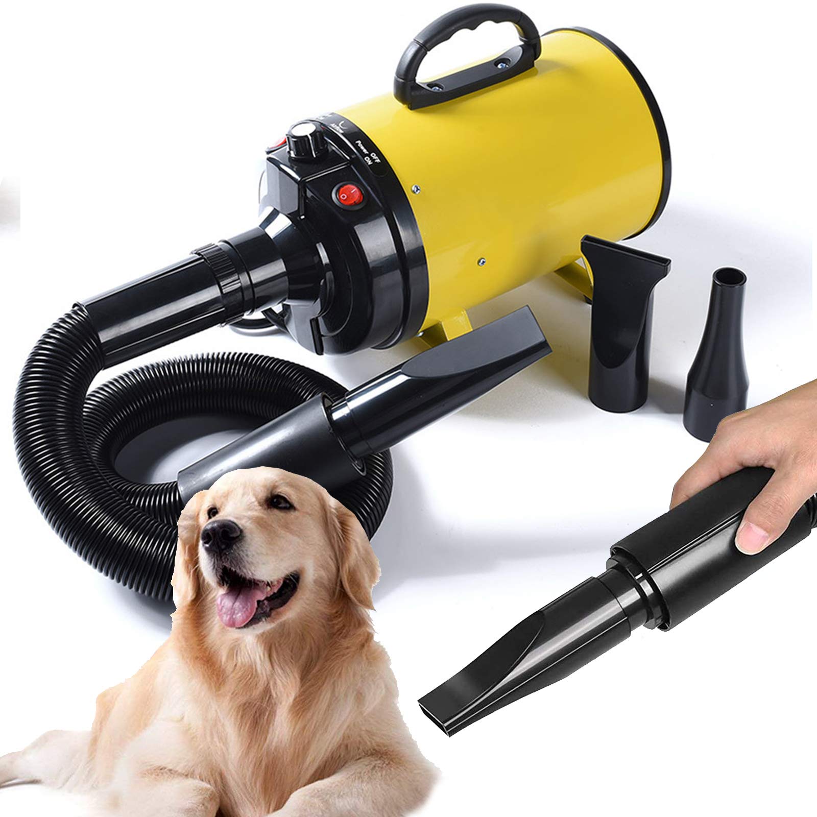 Séchoir Sèche-Poils Toilettage Professionnel pour Chien Chat Animaux 2400W Stepless Vitesse Réglable Chauffage Soufflant Machine De Toilettage avec Tuyau, 3 Buses en Option