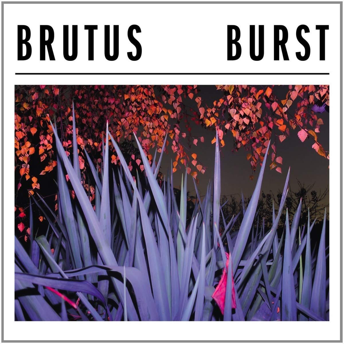 BURST