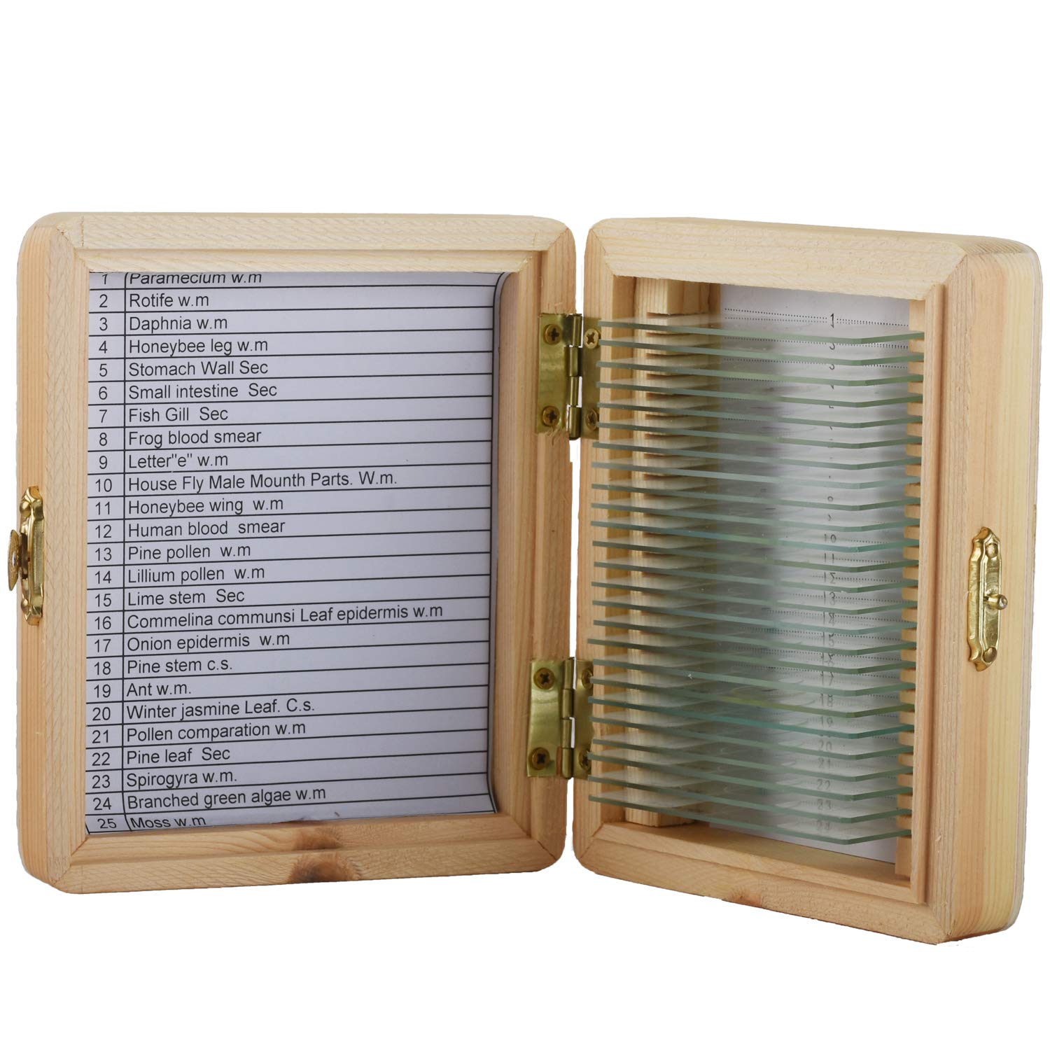 25 Slices of Biological Tissue Slides Wooden Case Packing for Basic Biological Science Education Microscope Biological