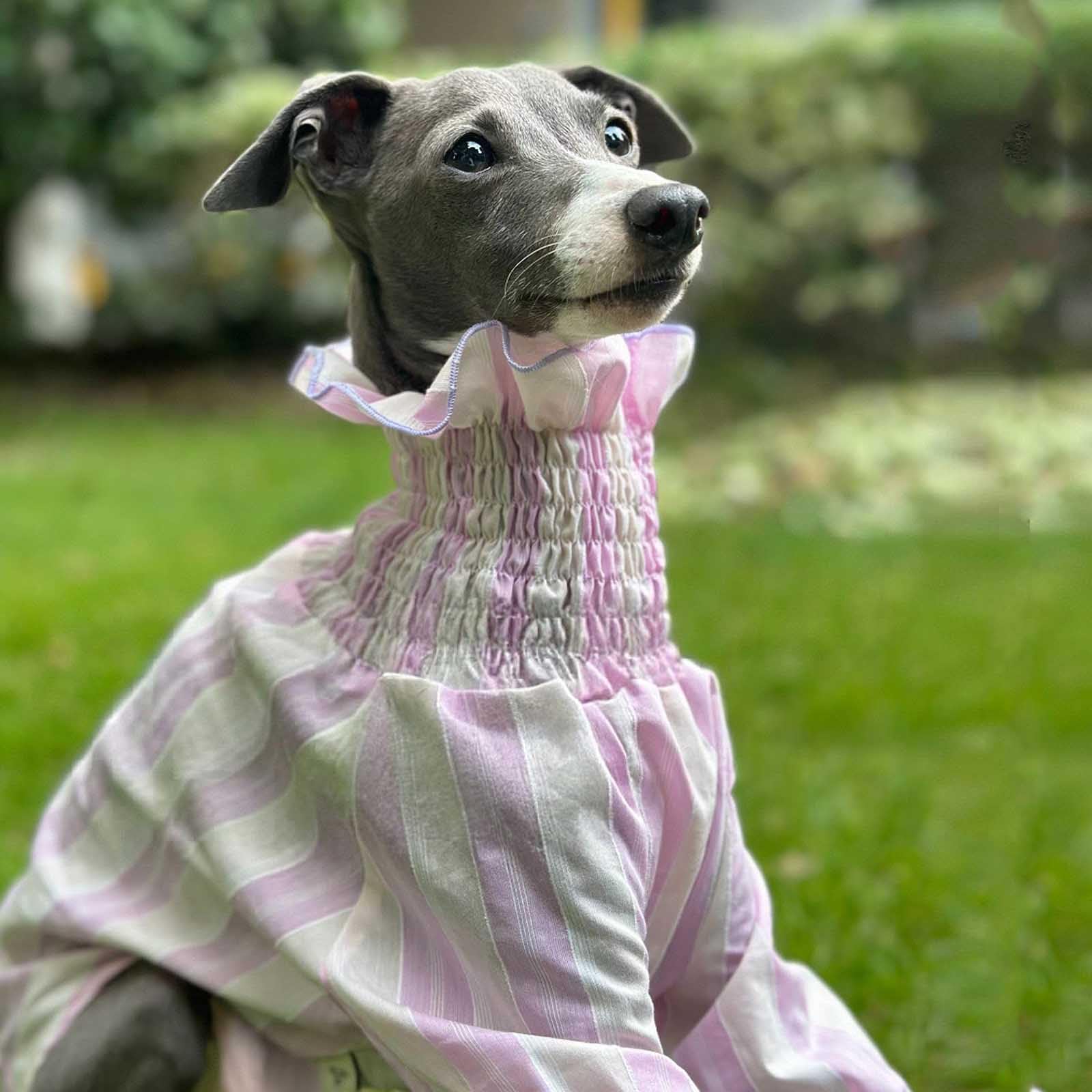 Camisa de Galgo Italiano Camiseta de Perro de niña Linda Jersey de Perro Suave y Fresco Mangas largas Raya Transpirable Ropa de Perro Primavera Verano Pijama de Perro Fiesta de Bodas