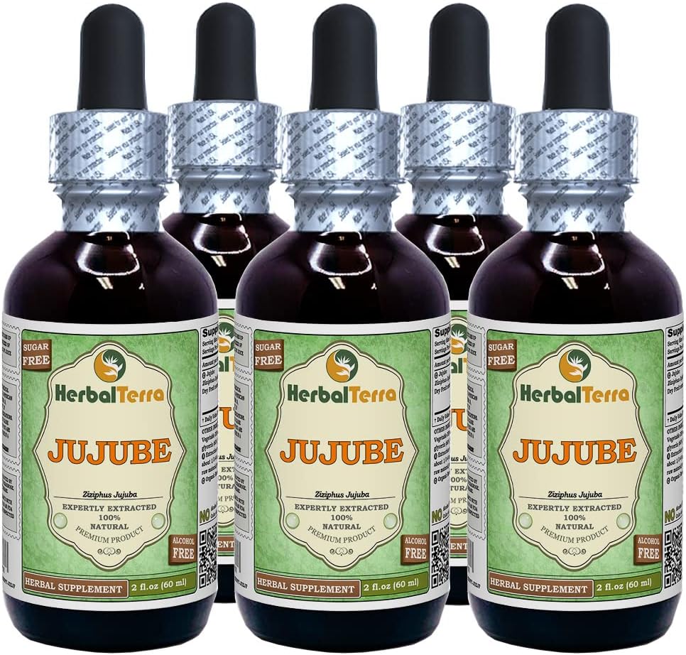 Jujube (Ziziphus Jujuba) Glycerite, Organic Dried Fruits Alcohol-FREE Liquid Extract (Brand name: HerbalTerra, Proudly made in USA) 20x4 fl.oz (20x120 ml)