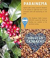 Vista 7 de Pino Mountain Coffee Paquete variado de granos de café tostado medio, 36 onzas, 3 bolsas, origen único Honduras, variedad de pacamara, grano entero