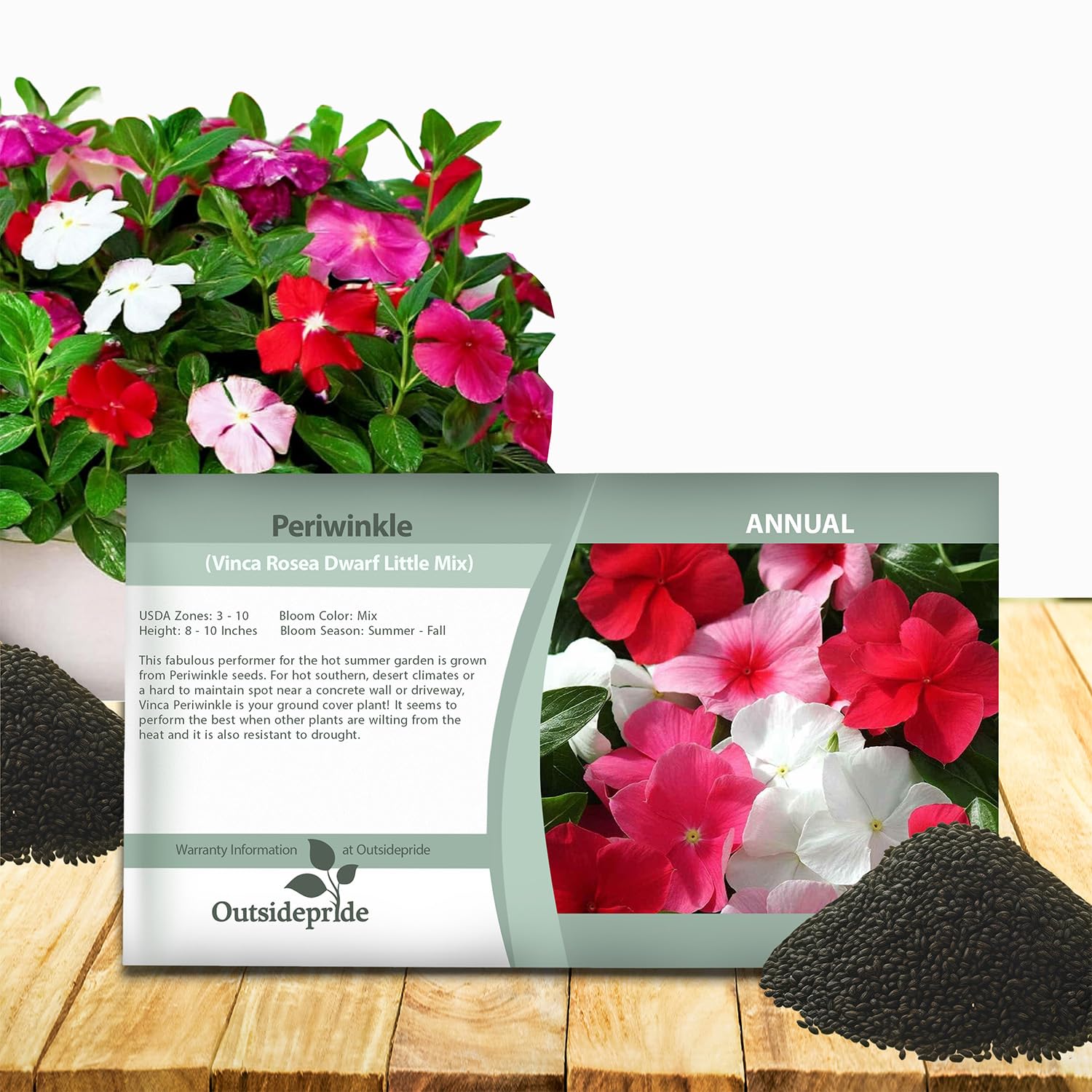 Outsidepride Mix Periwinkle Seeds for Planting – 2000 Pcs Annual, Fast-Blooming, Heat & Drought Tolerant Vinca Flower Seeds with Vibrant Colors Ideal for Gardens, Beds, Borders & Containers