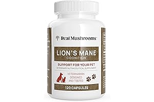 Real Mushrooms Lions Mane Pet Support: Cognition & Memory Booster for Large Dogs