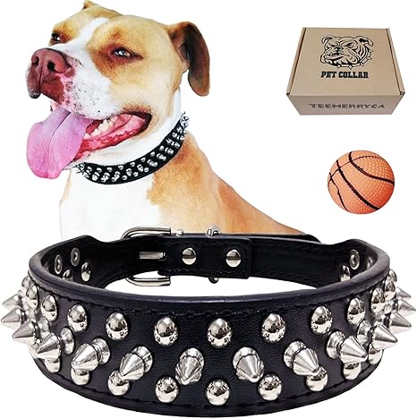pitbull collar