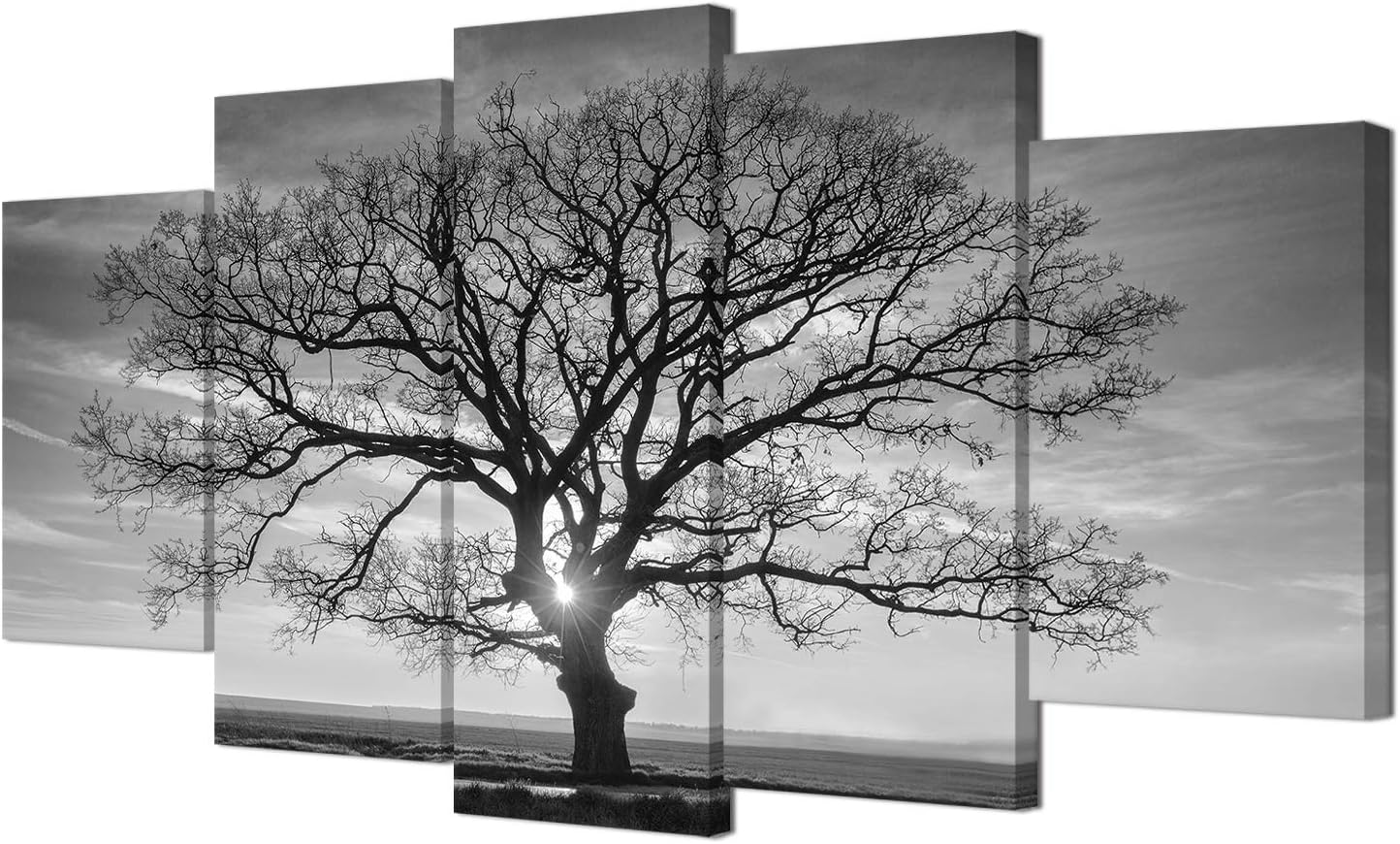 HOMEOART Tree Wall Art Canvas Prints Black and White Tree Picture Nature Landscape Canvas Prints Living Room Office Decor 5 Panels
