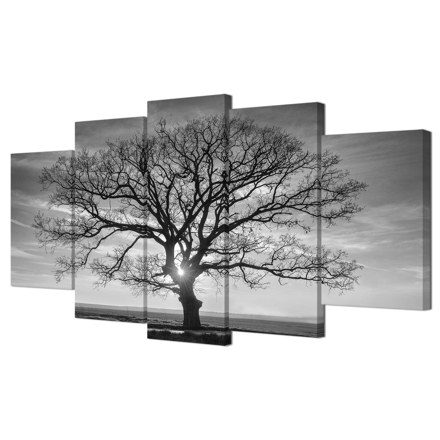 HOMEOART Tree Wall Art Canvas Prints Black and White Tree Picture Nature Landscape Canvas Prints Living Room Office Decor 5 Panels