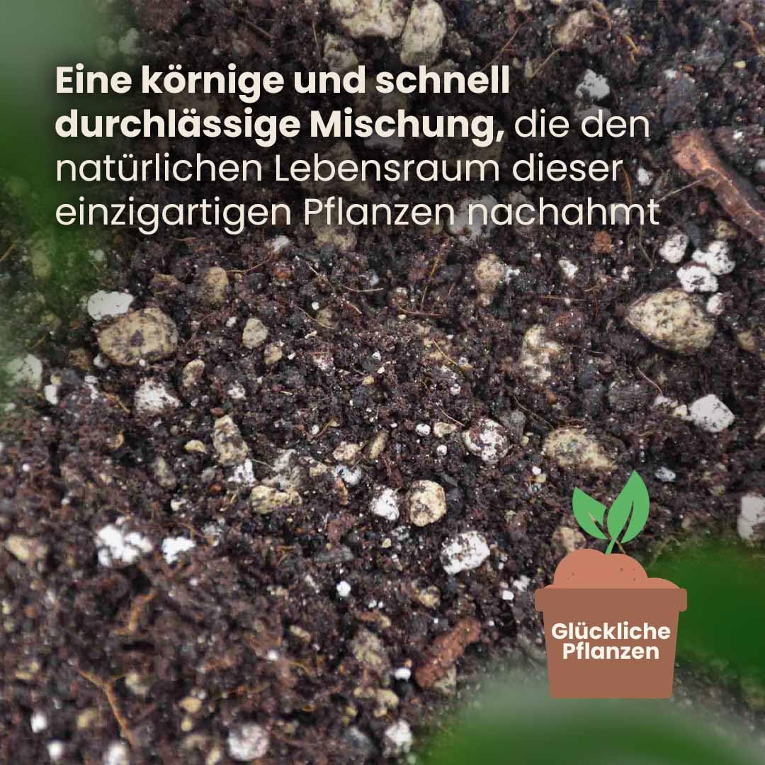 Sybotanica Syngonium-Erde 5 Liter – Torffreie Premium-Blumenerde Mit 180 Tage Bio-Dünger