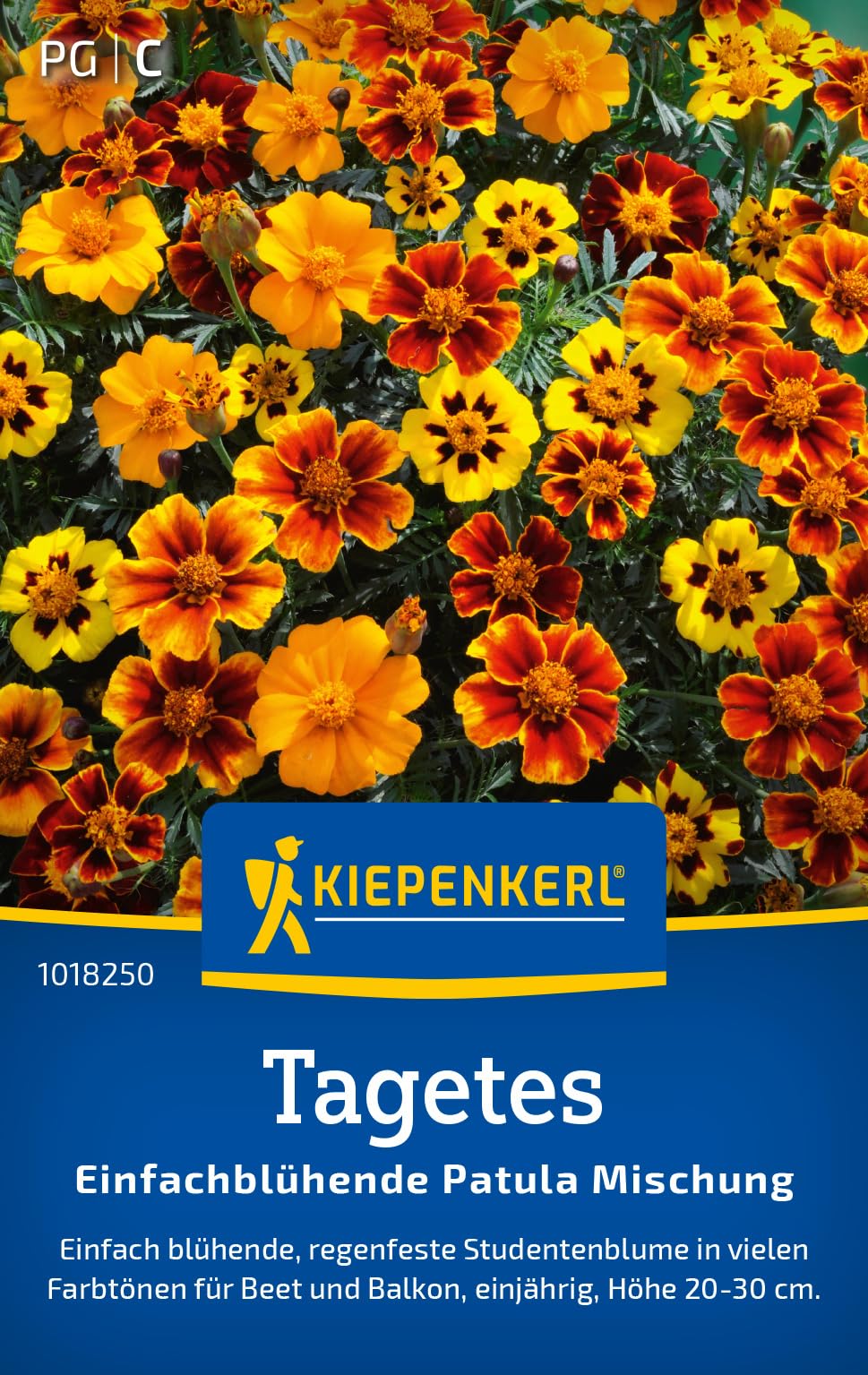 Kiepenkerl Tagetessamen Patula Mischung 1018250 - Einjährige Blumensamen mit einer Wuchshöhe von 20 bis 30 cm und Inhalt für 5 Pflanzen - Blumensamen, Saatgut