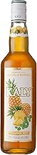XAROPE KALY ABACAXI E HORTELÃ Kaly Sabor 700ML