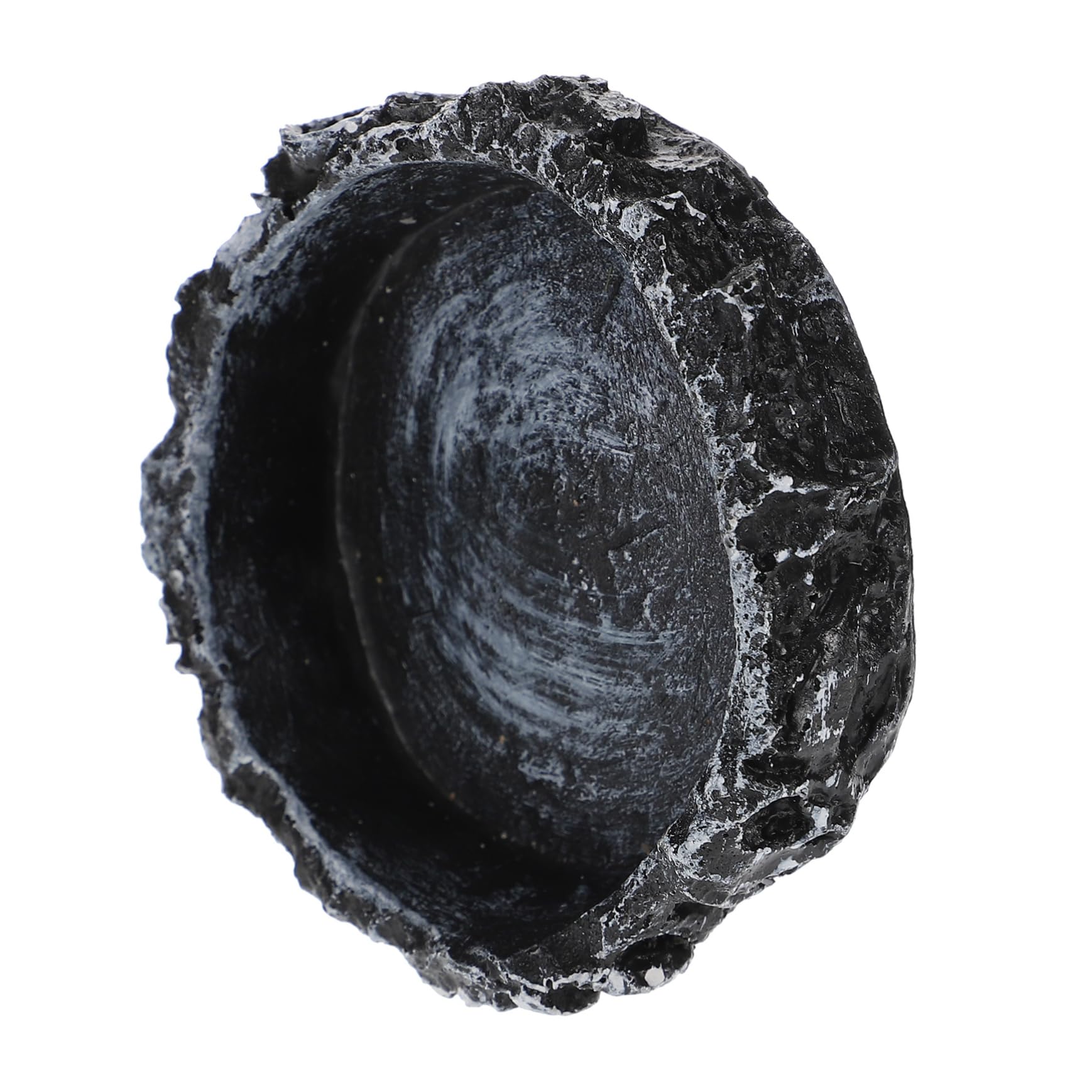 KESYOO Crawling Pet Food Storage Bowl Smooth Surface Tortoise Water Dish for Reptiles Durable Resin Material for Decorative and Functional Accessory for Snakes