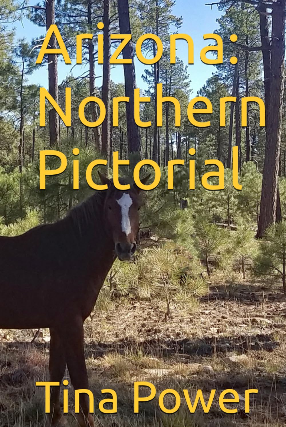 Arizona: Northern Pictorial