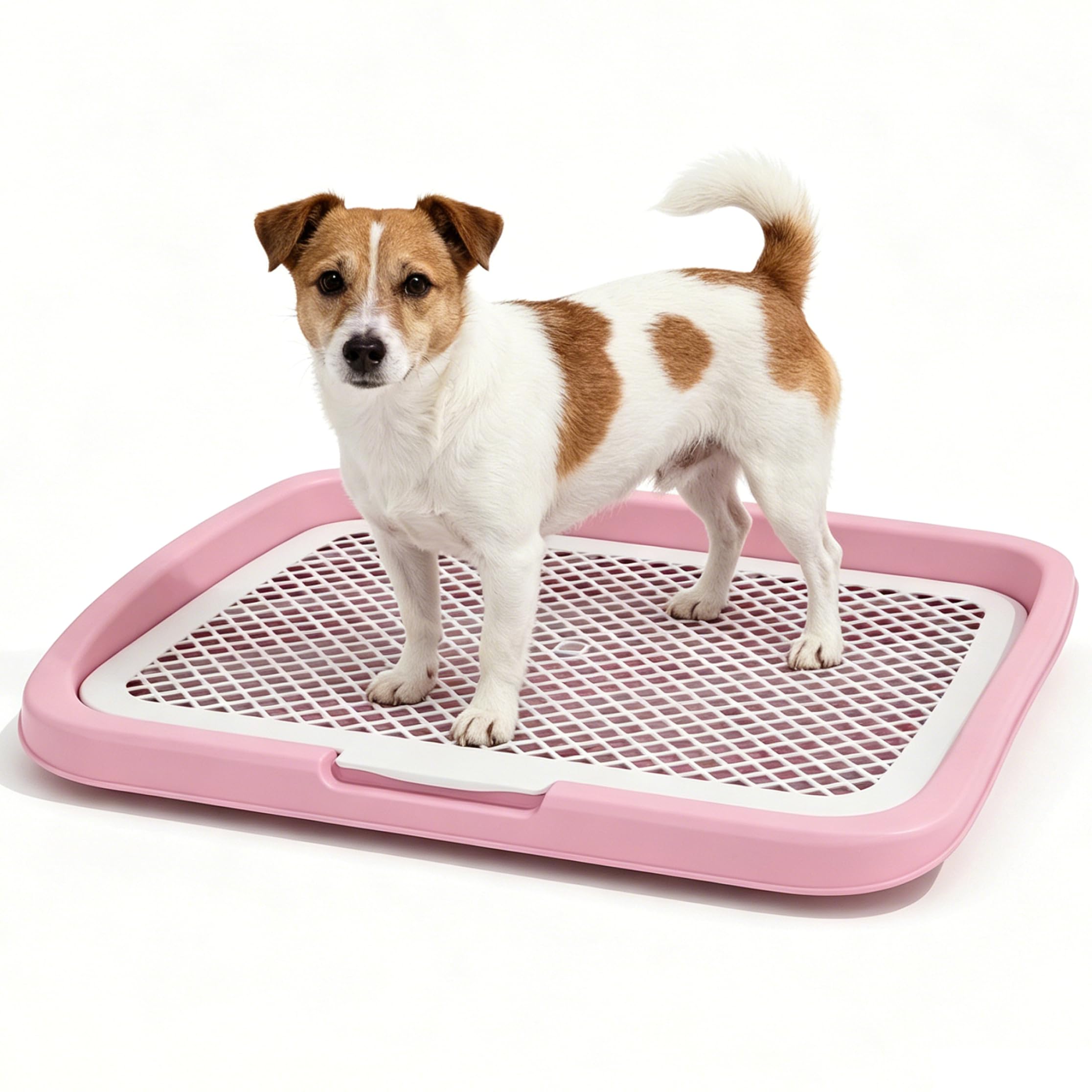 Ameble Spacious Indoor Dog Potty Pee Pad Holder for Small to Medium Dogs, Training Tray, Washable Puppy Toilet, Style 1, 18.50x14.57inch
