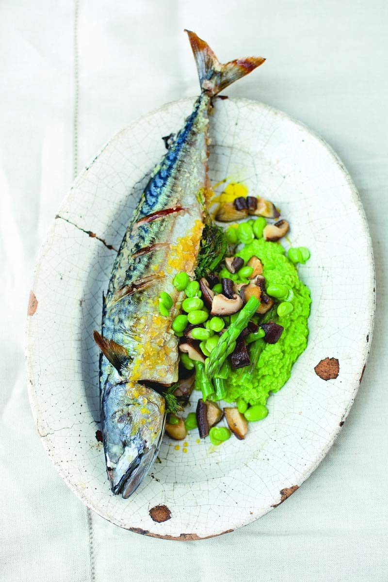 El arte de comer bien: Cuando lo delicioso se encuentra con lo sano (Salamandra fun & food)