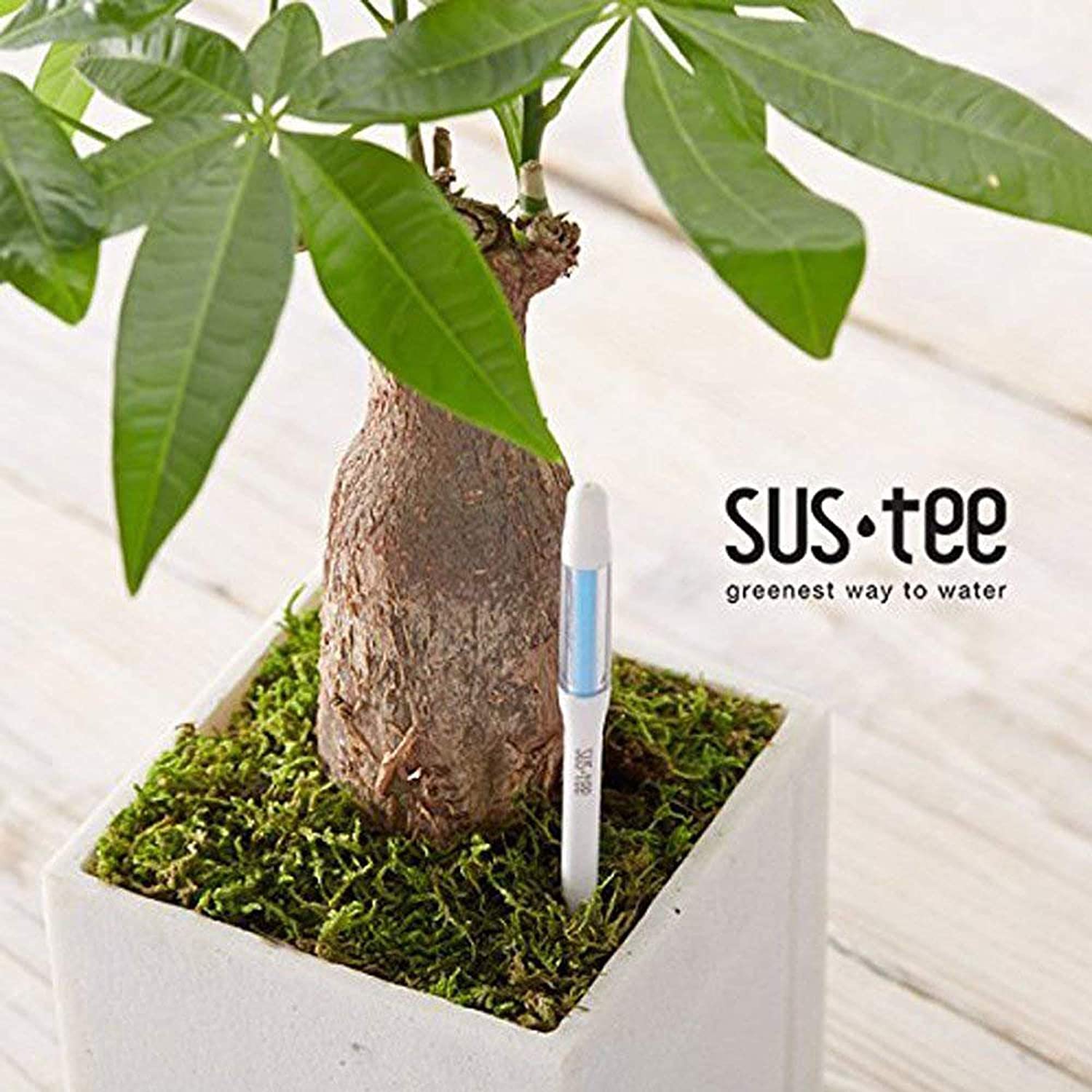 IPPINKA Sustee Aquameter – Lot de 24 – Humidimètre pour plantes d'intérieur – Idéal pour les plantes en pot – Petit format blanc rechargeable