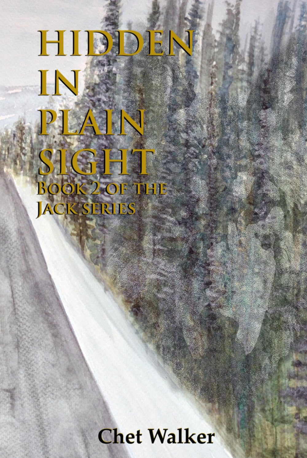 Hidden in Plain Sight: Book 2 of the Jack series
