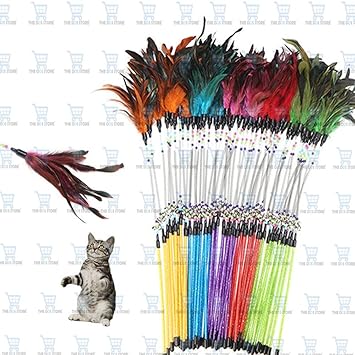 The DDS Store Feather Tease Cats Pet Toys Play Catch Tease Wire Toy for Pet Cat Kitten 1.Pc Pack