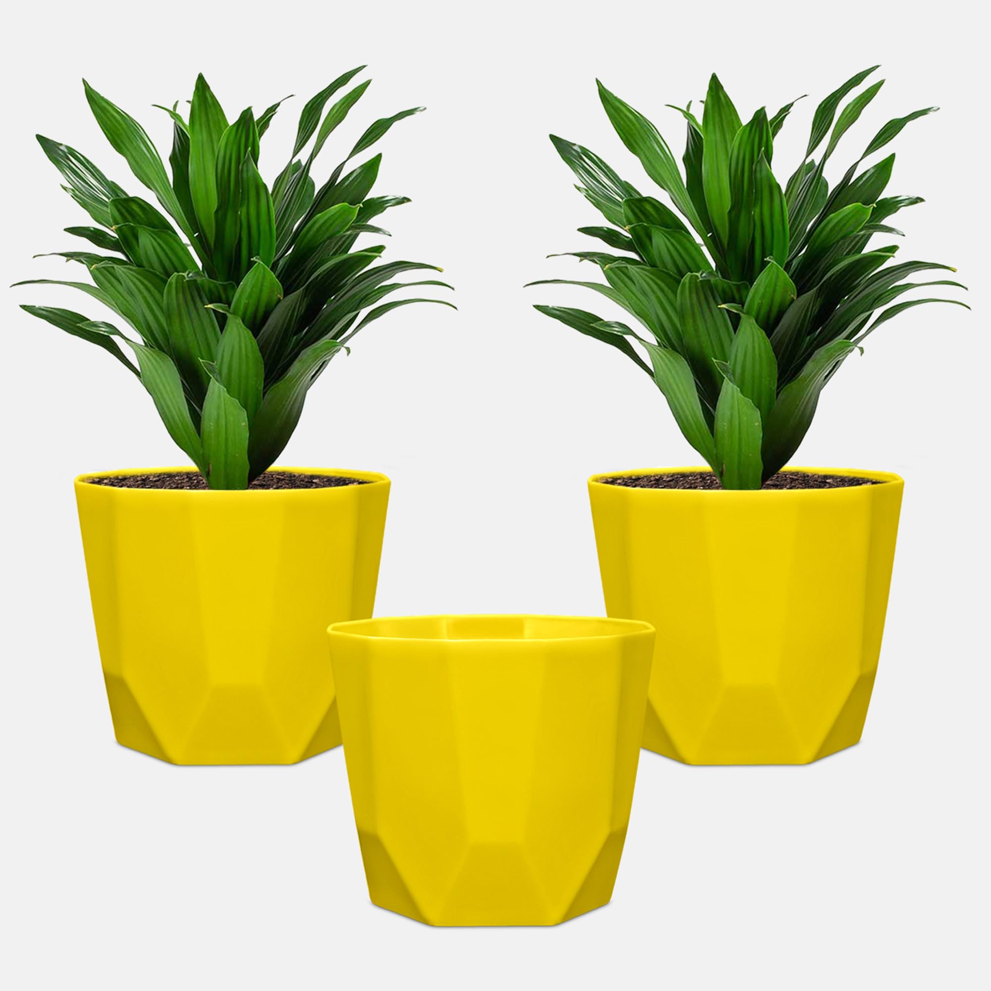 See full amazon price history chart for YUCCABE ITALIA SHERA Hexa 6 Inch Pack of 3 Piece Plastic Plant Pot for Home Decor Indoor Plant Pots for Living Room Plastic Flower Pot for Garden (Yellow) YUCCABE ITALIA SHERA Hexa 6 Inch Pack of 3 Piece Plastic Plant Pot for Home Decor Indoor Plant Pots for Living Room Plastic Flower Pot for Garden (Yellow) (B09XB1QKVP) Amazon Price History, Amazon Price Tracker