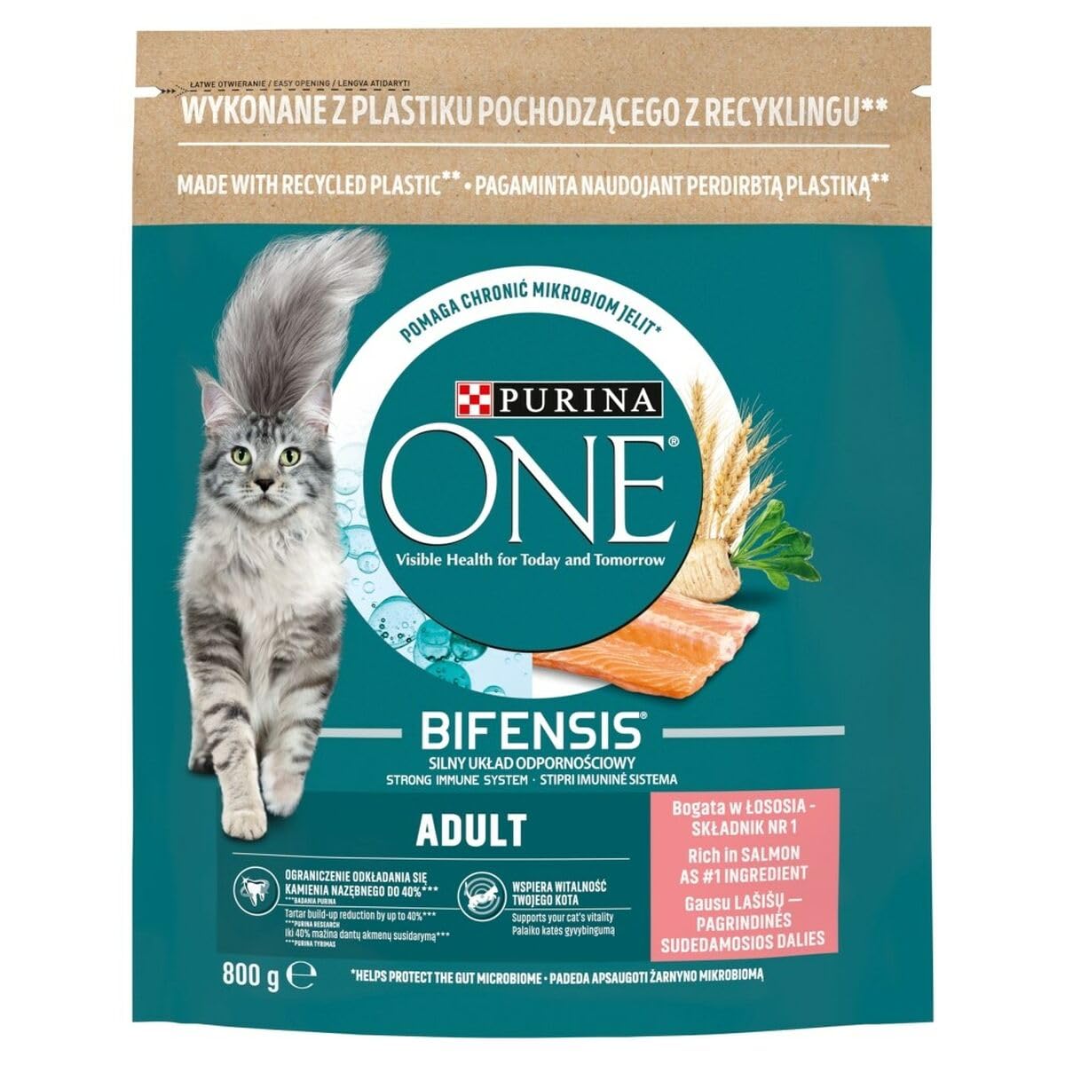 PURINA ONE ADULT | Karma sucha dla dorosłych kotów | Bogata w Łososia | 800g