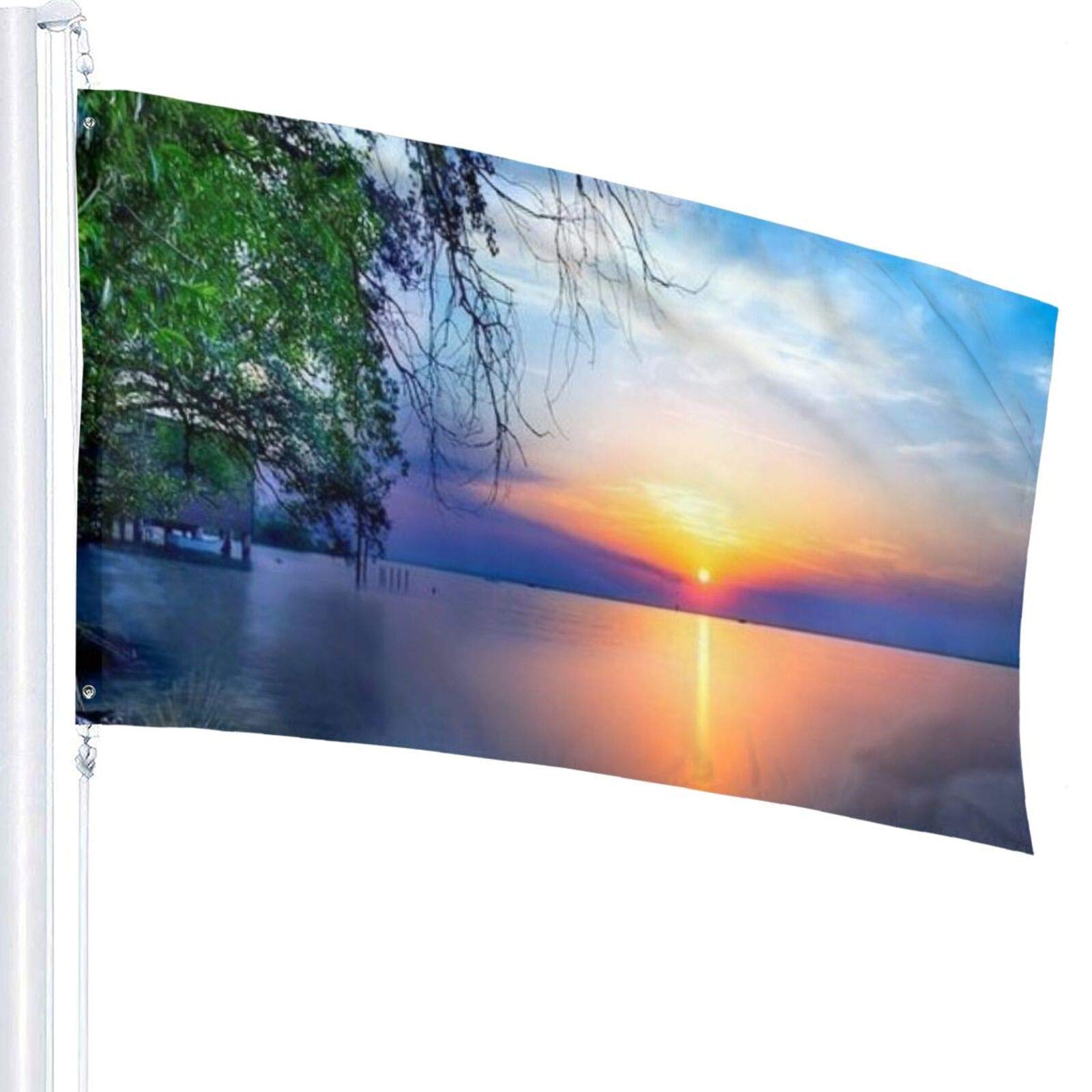 Piratenflagge Mit Schwan Design – 90 X 150 Cm Polyester, Bunt, Für Garten & Deko