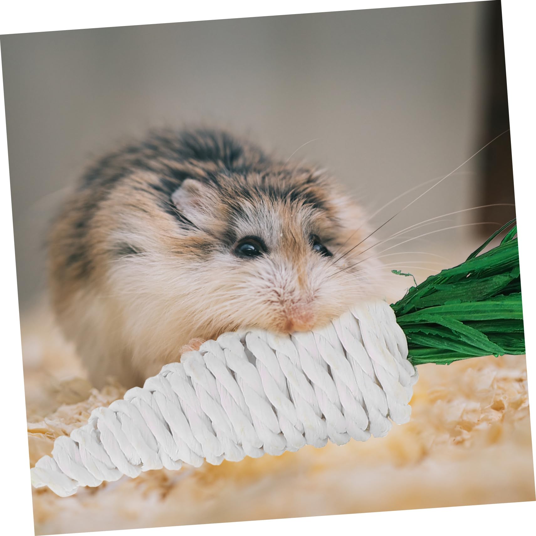 VANZACK 20pièces Jouets à Mâcher Loofah pour Petits Animaux Fournitures pour Hamster Et Lapin Jouets De Détente pour Rongeurs Carotte Maïs Radis