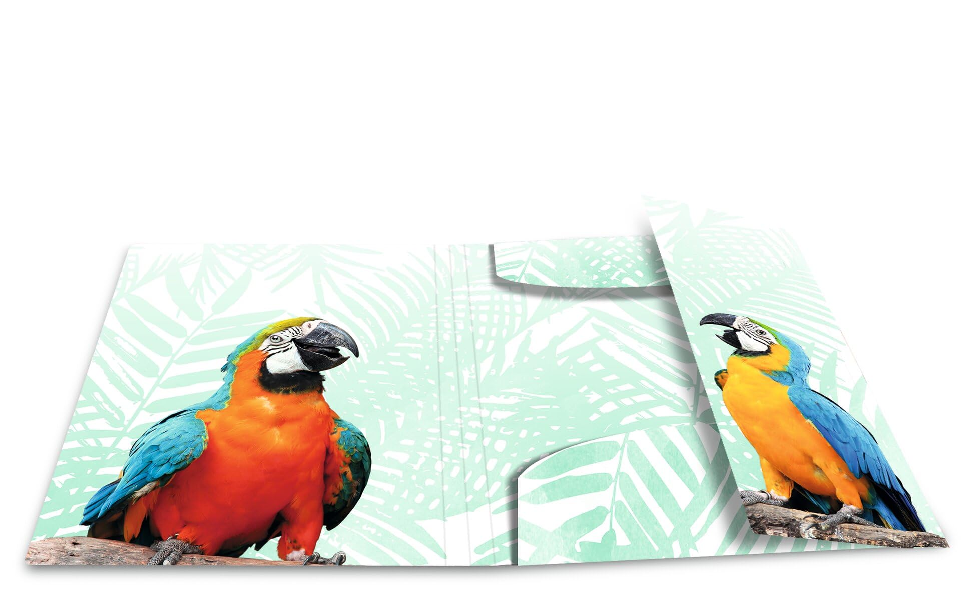 HERMA Collector's Folders A3 Parrot Set, 3 Pieces, Children's Plastic Corner Folder with Animal Motif, Elastic Band - Image 3