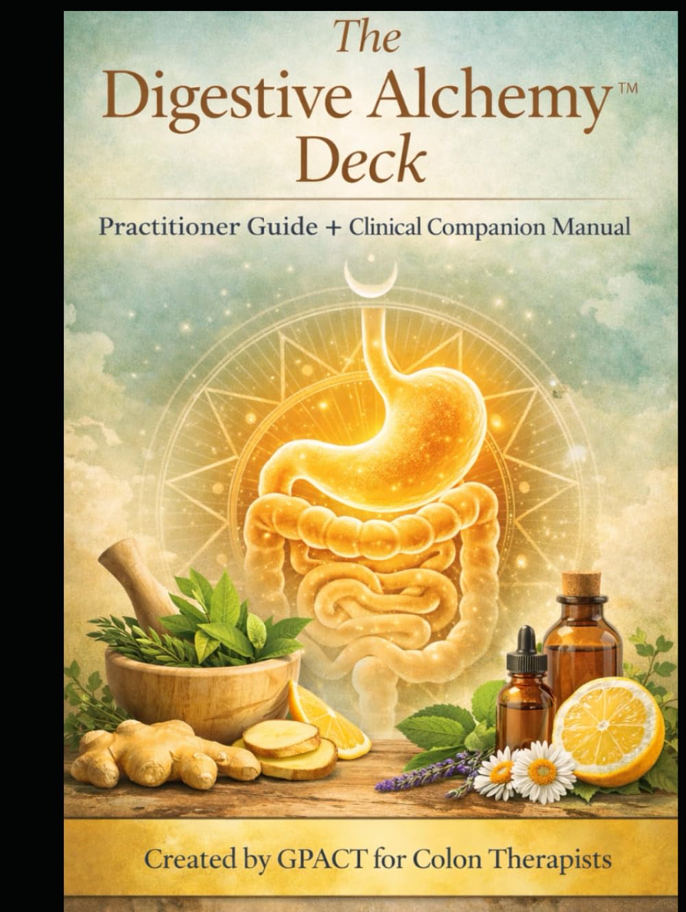 The Digestive Alchemy Deck Practitioner Guide & Clinical Companion Manual: Created by GPACT for Colon Therapist