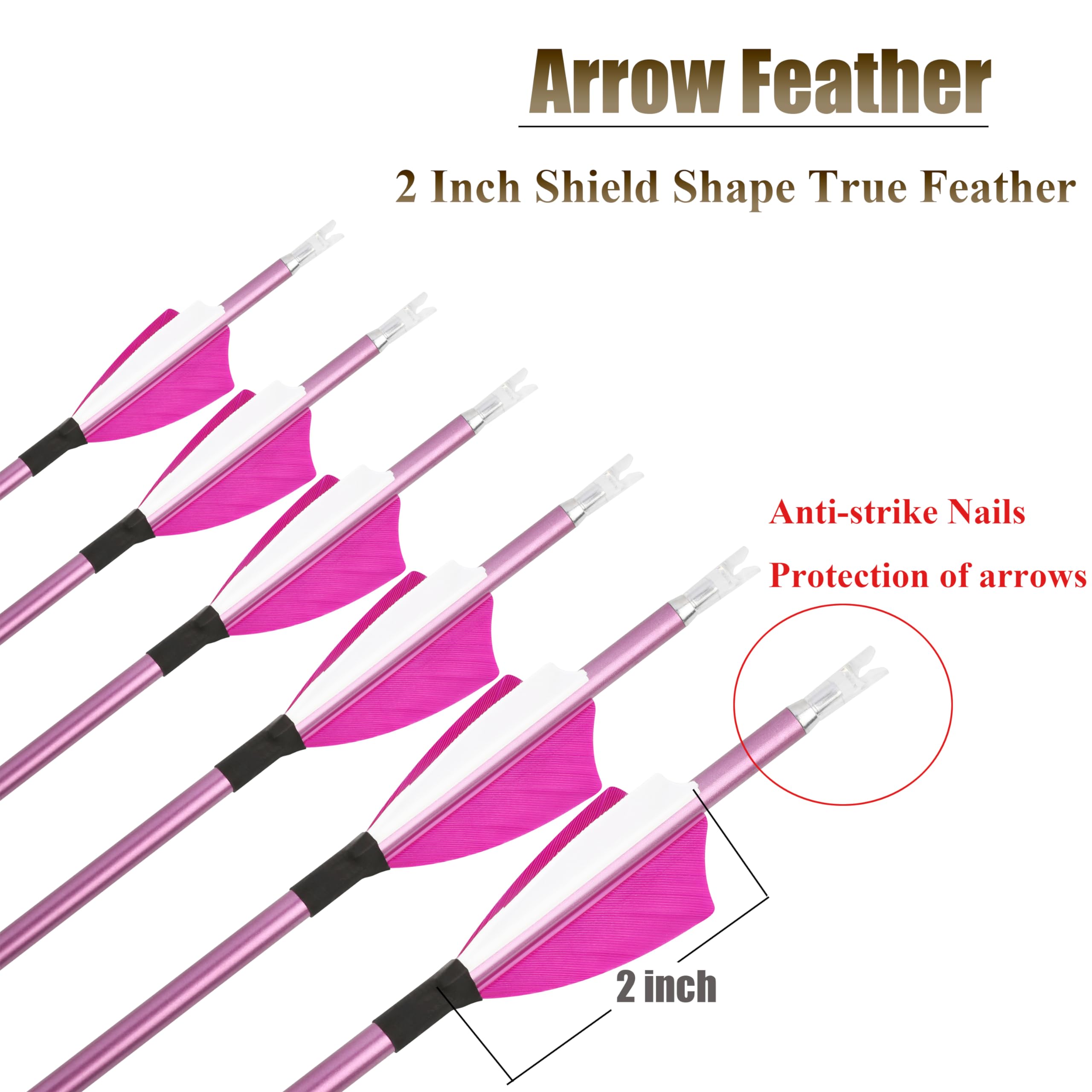 12 Stück Bogenschießen Carbonpfeile 400/500/600/700/800/900/1000 Spine mit True Feather Shooting Bogenschießen Praxis Jagdpfeil für Recurve-Bogen Compound-Bogen