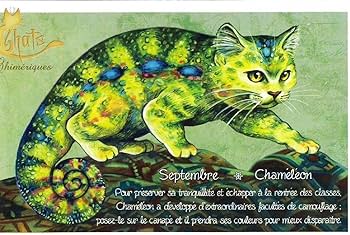 Amazon.co.jp: セブリーヌ 【 キャット ポストカード Amazon.co.jp: セブリーヌ 【 キャット ポストカード