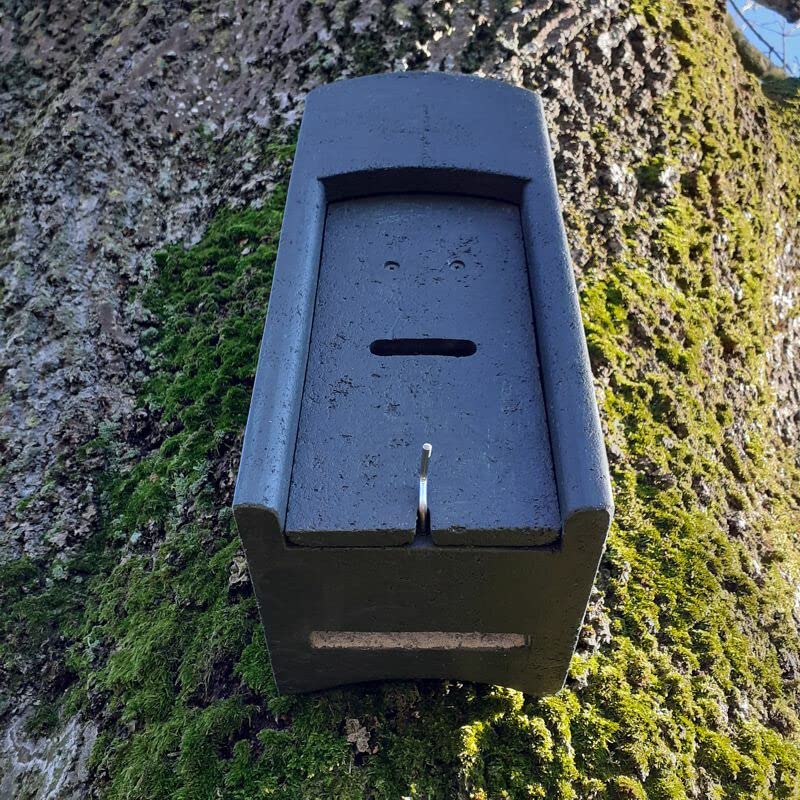 Fledermaus-Kuppelhöhlel aus Holzbeton - Sommerkasten für Fledermäuse - Winternisthöhle für Fledermäuse - Winterquartier - Sommerquartier