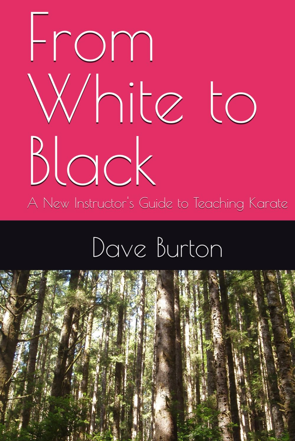 From White to Black: A New Instructor's Guide to Teaching Karate