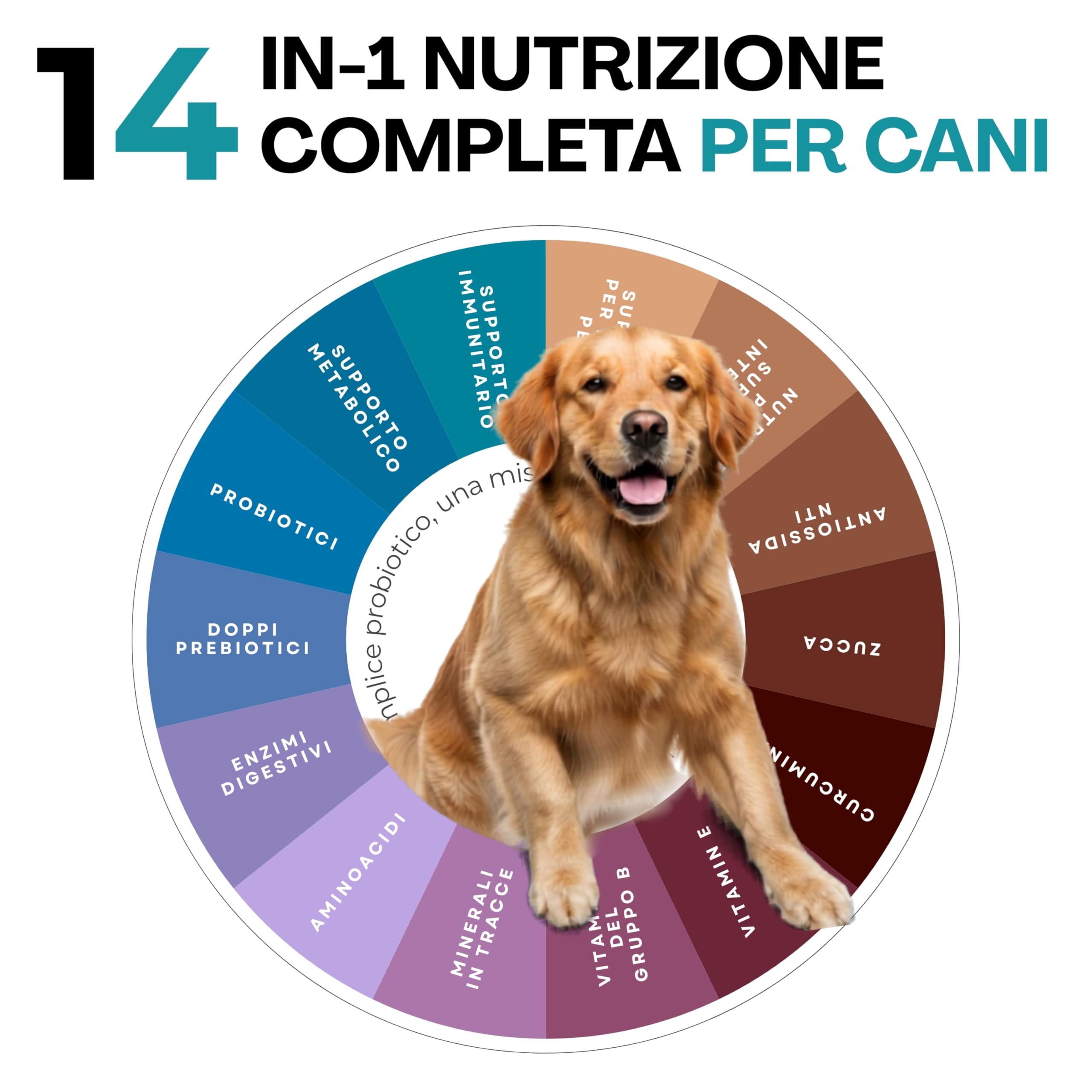 EnerCanis 14-in-1 Integratore Digestivo in Polvere per Cani Probiotici per Cani, Prebiotici, Enzimi Digestivi, Curcumina, Minerali Digestione, Pelle, Pelo ed Energia Tutte le Taglie